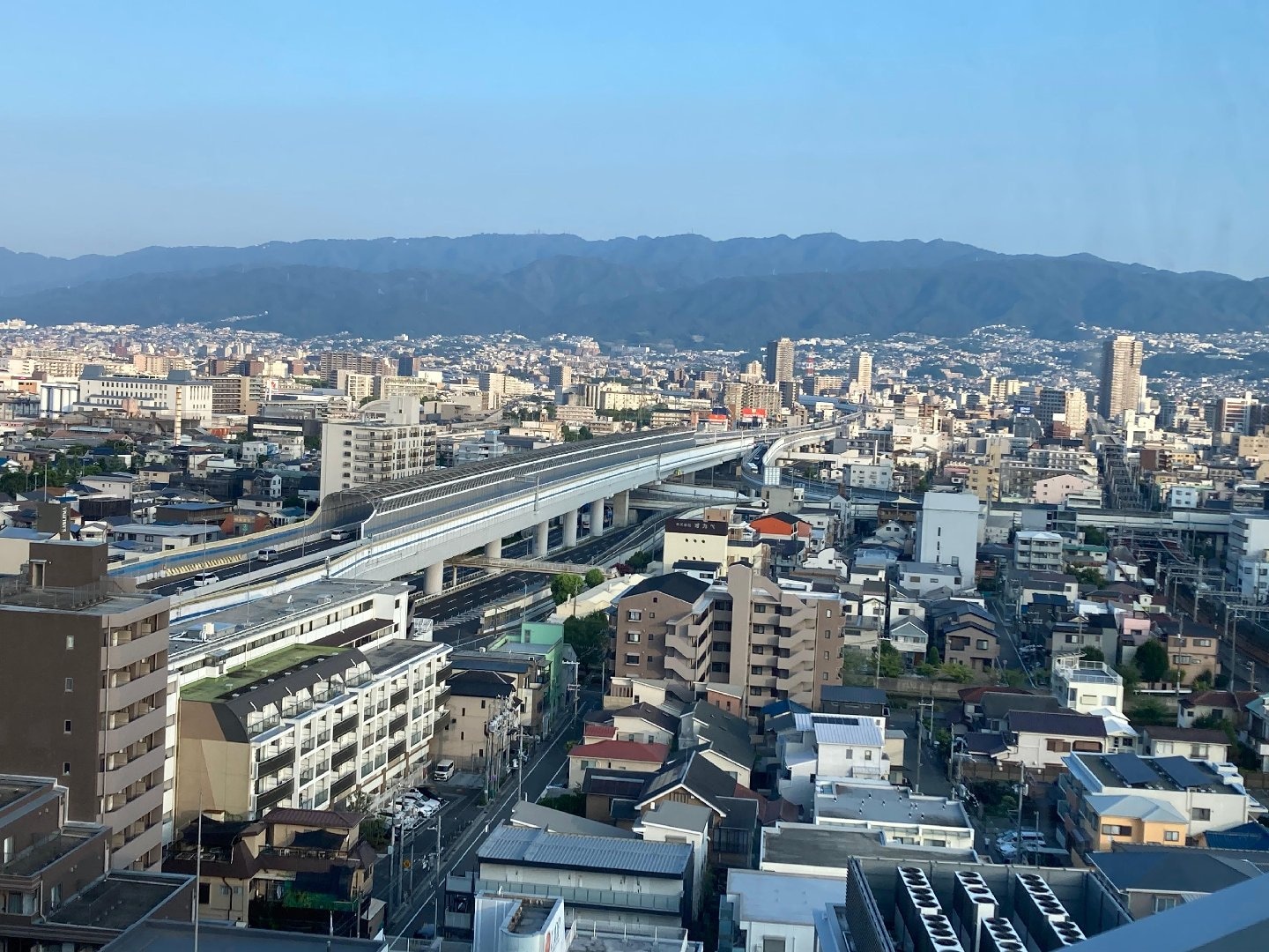 IMG_5008.jpeg