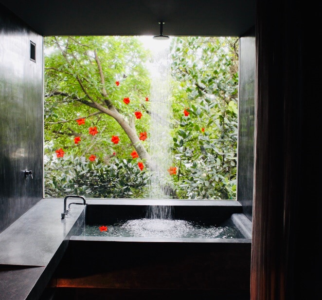 A rain shower surrounded by a subtropical forest