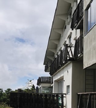 Hình ảnh xuất hiện