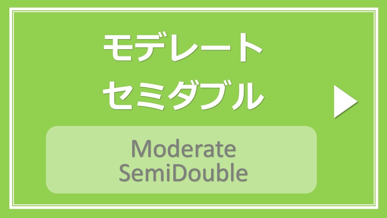 [No smoking / Smoking] Moderate semi-double [With microwave]