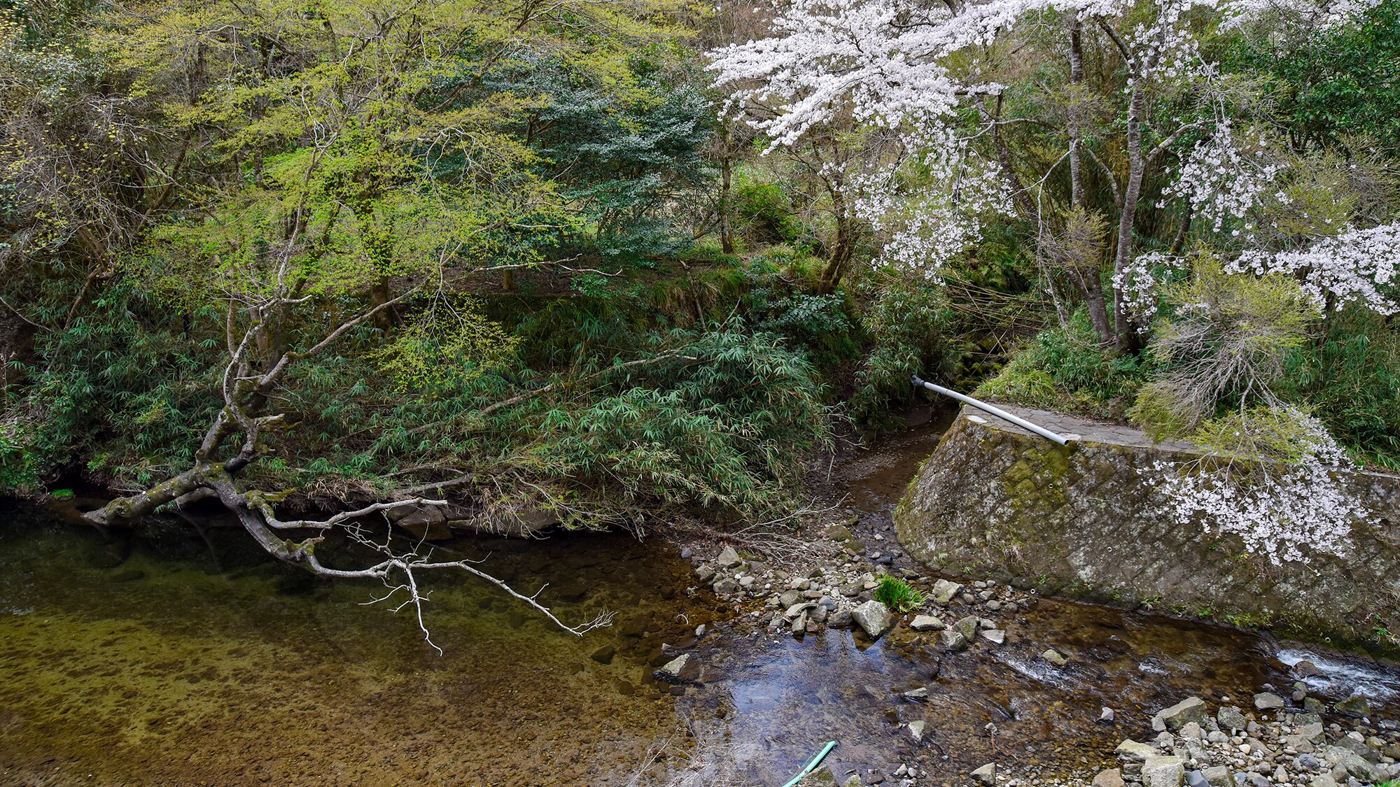 *[Japanese-style room] You will never tire of the beauty of nature in every season.