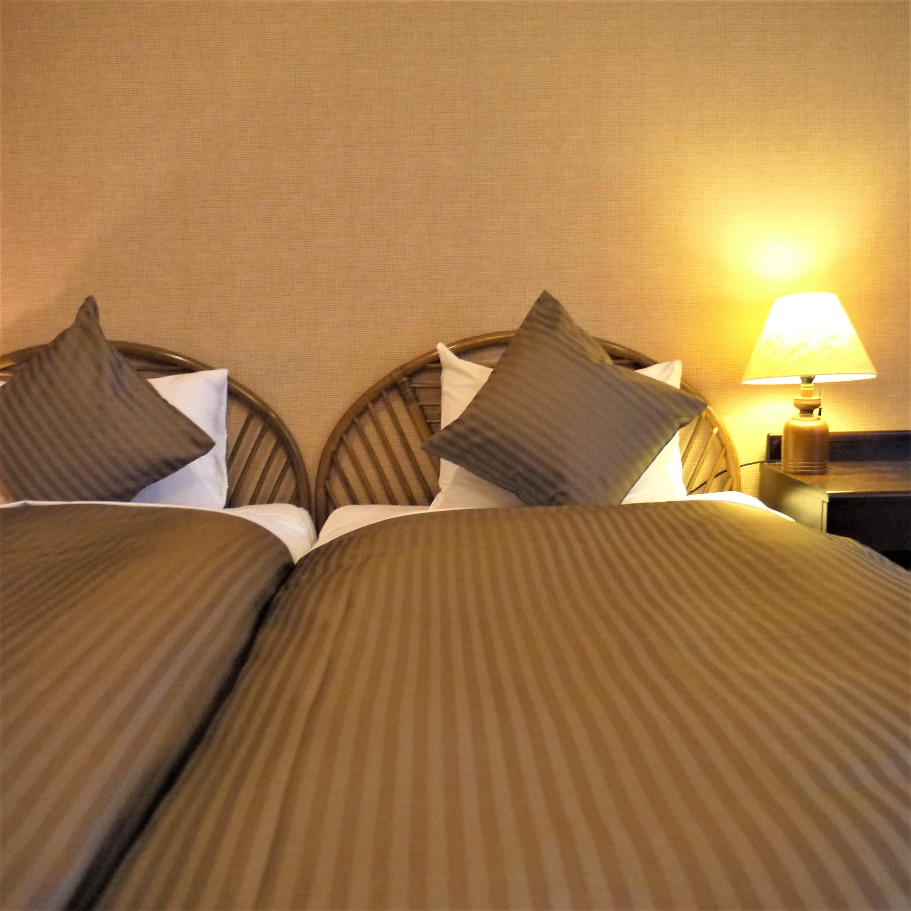 Deluxe Twin Room 2 people (Maximum 2 people)