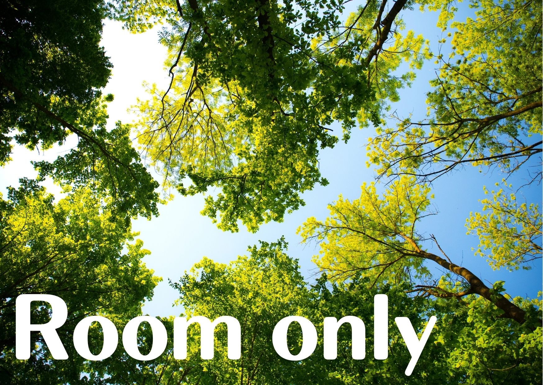 Room only