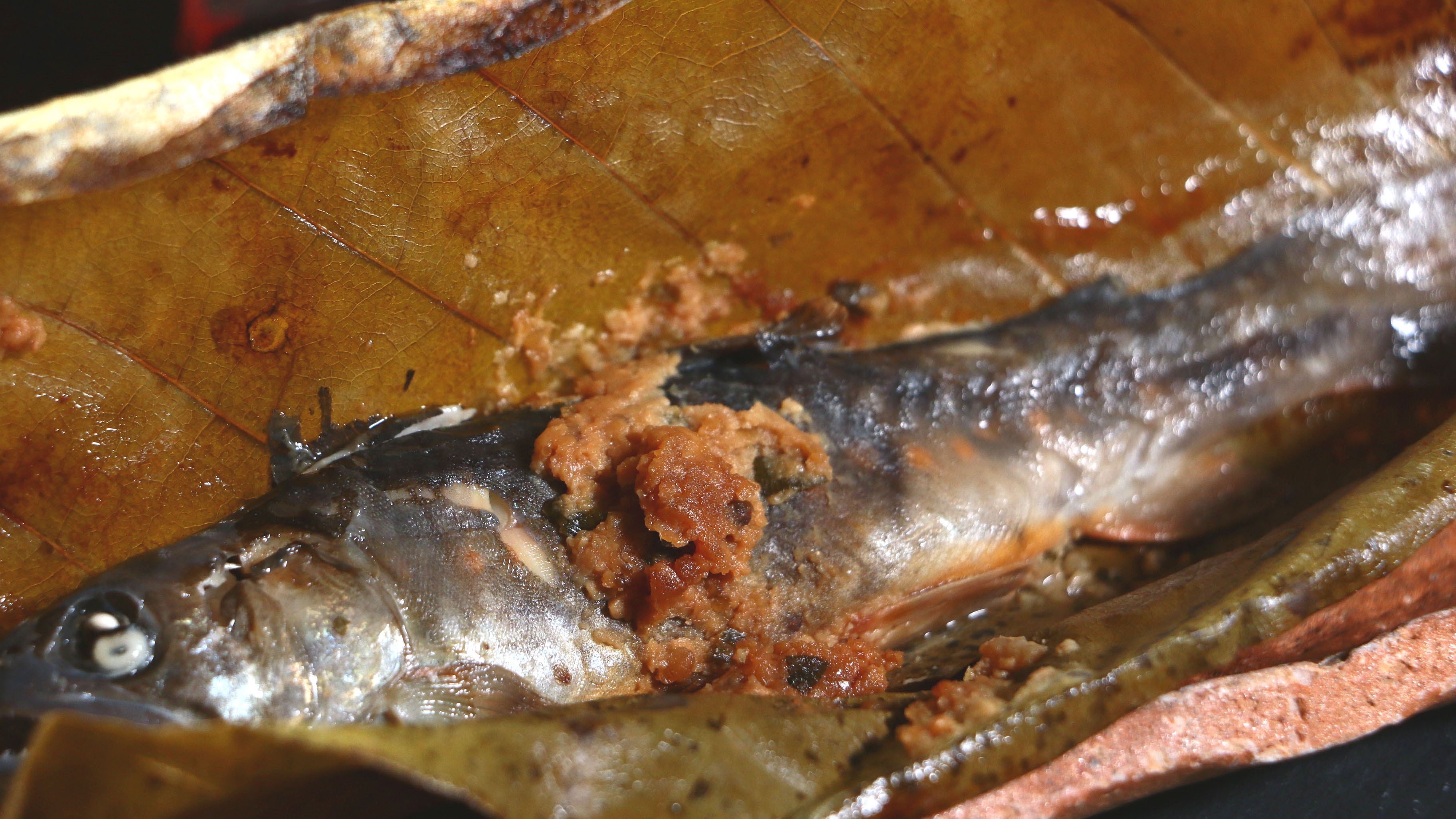 [Ikan trout panggang yang dibungkus daun magnolia]