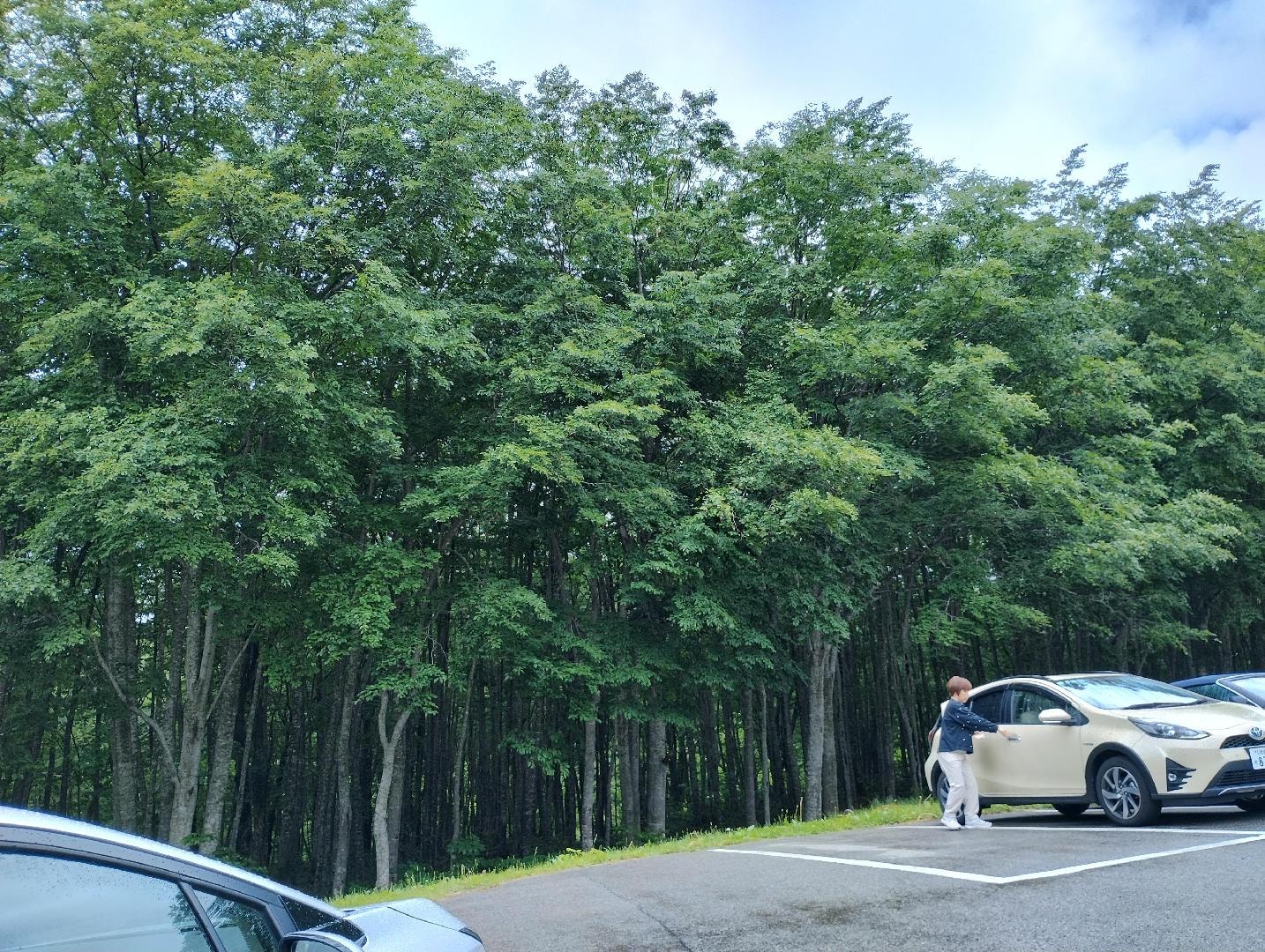 IMG_20260610_090456624_HDR.jpg