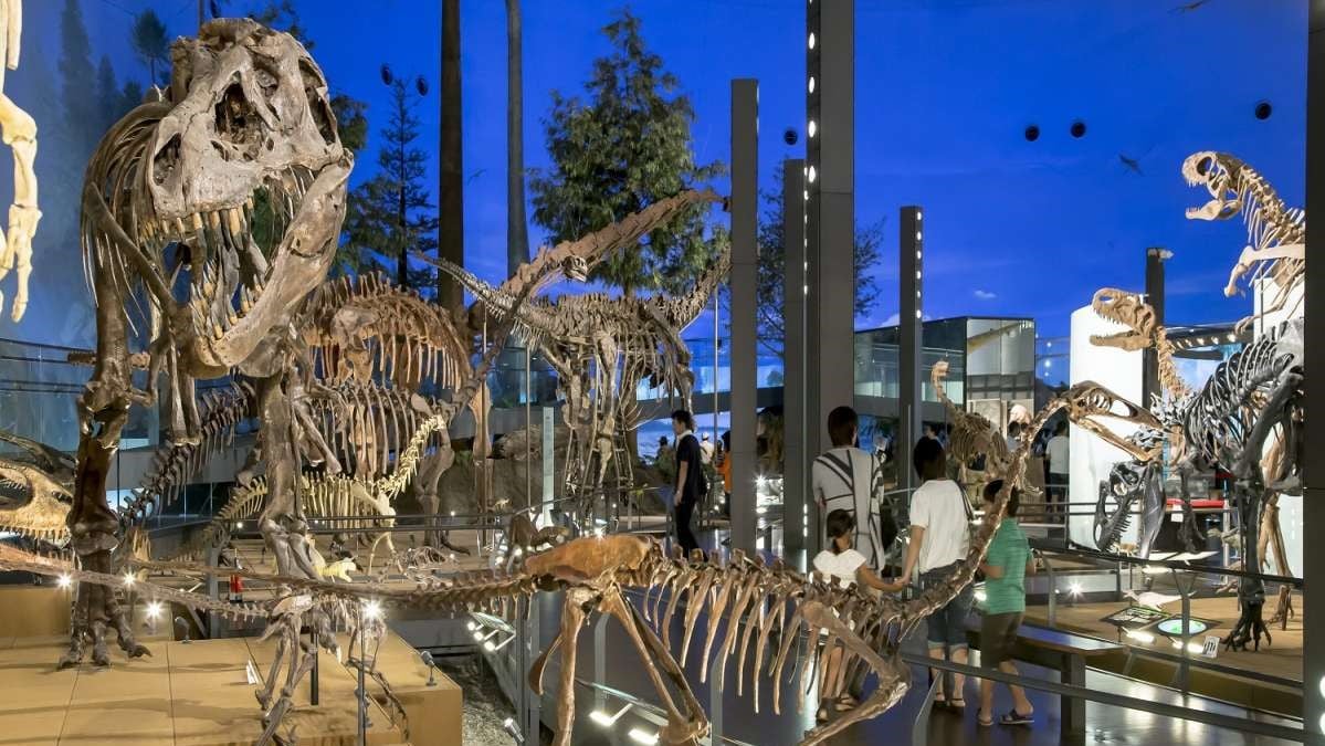 ● Fukui Prefectural Dinosaur Museum