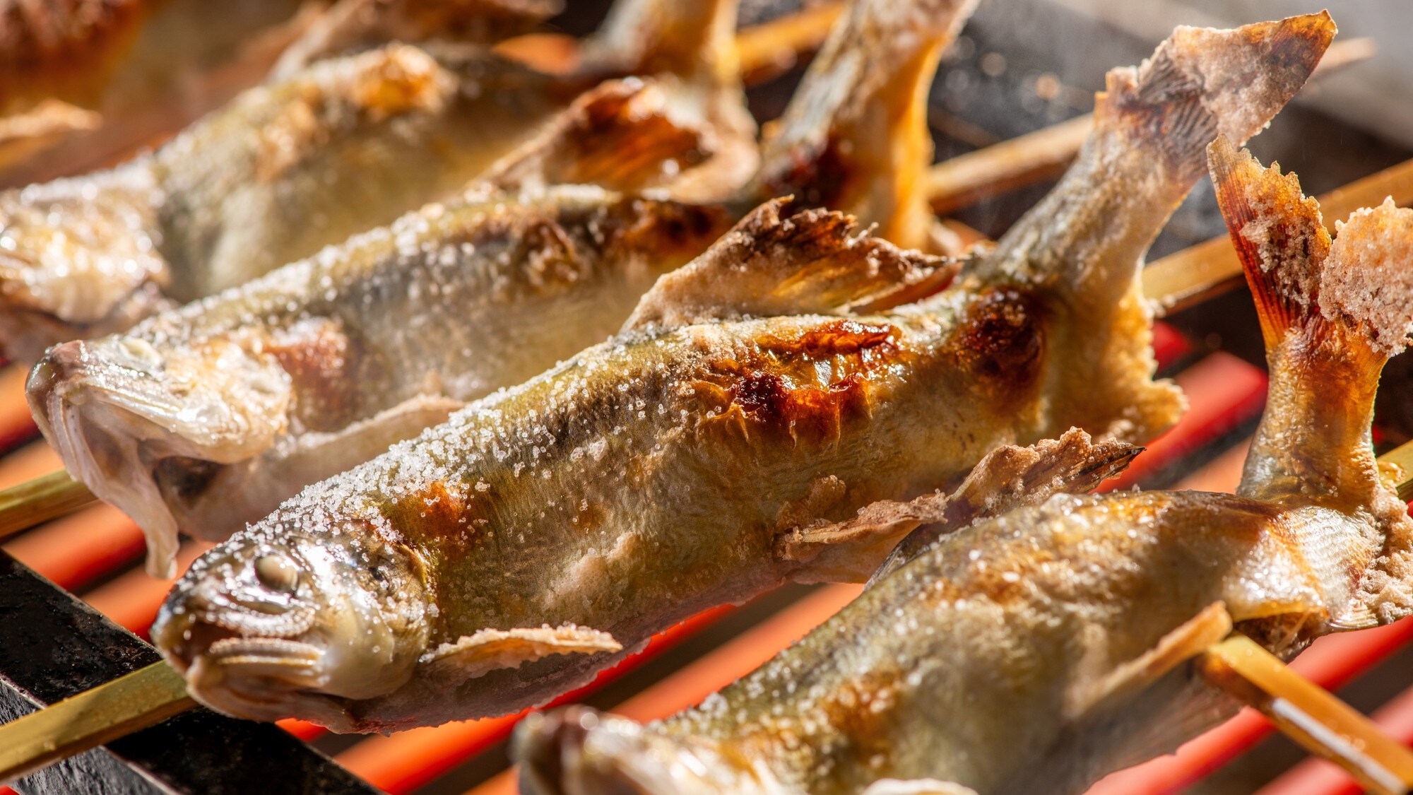 Grilled river fish skewers in the hearth style