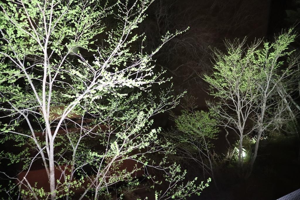 ラウンジからの夜景_R.JPG
