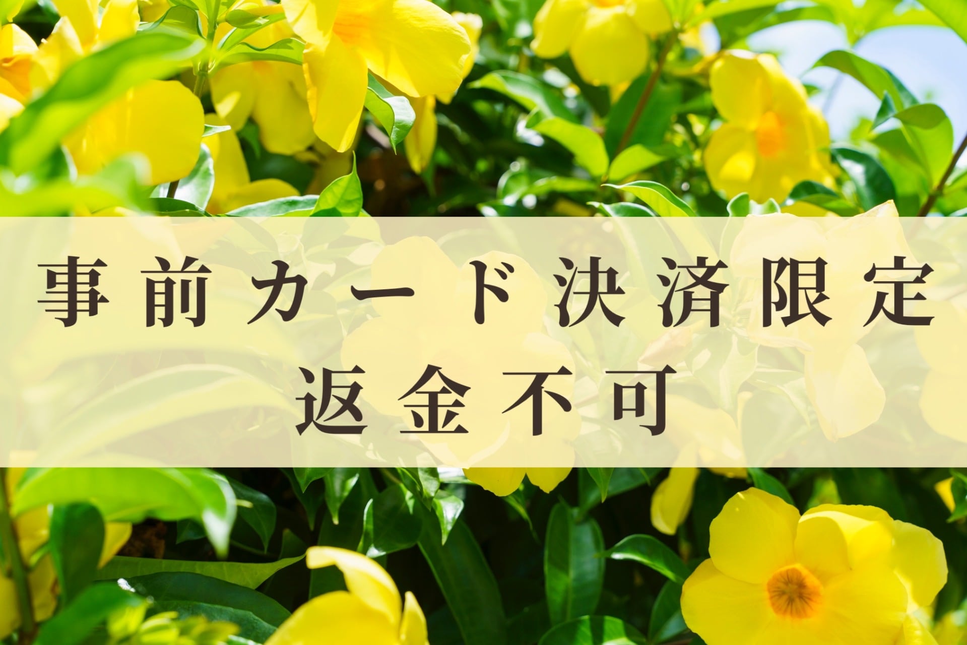 Advance card payment only, non-refundable plan