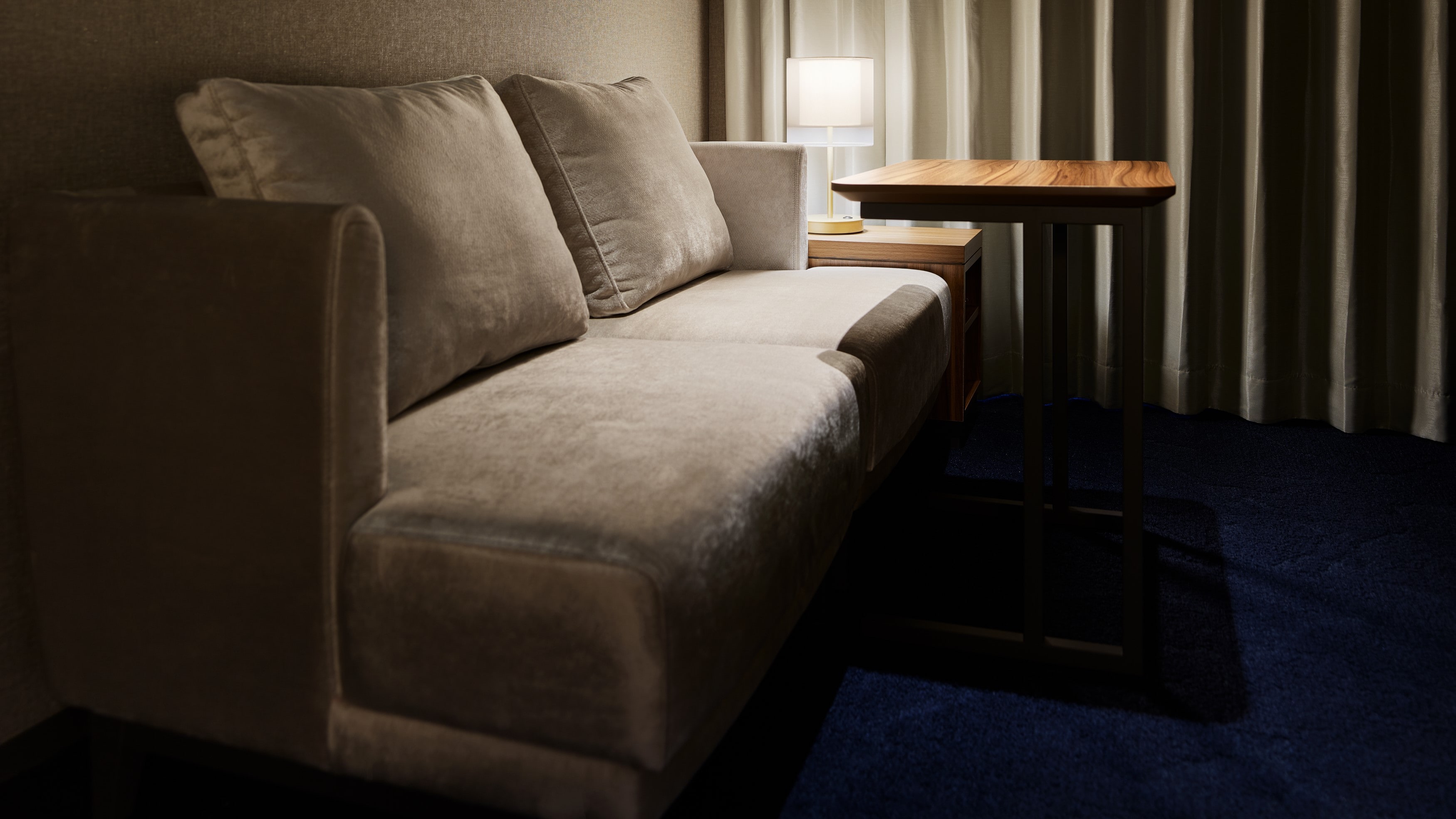 Deluxe Twin [Install a sofa where you can relax slowly]