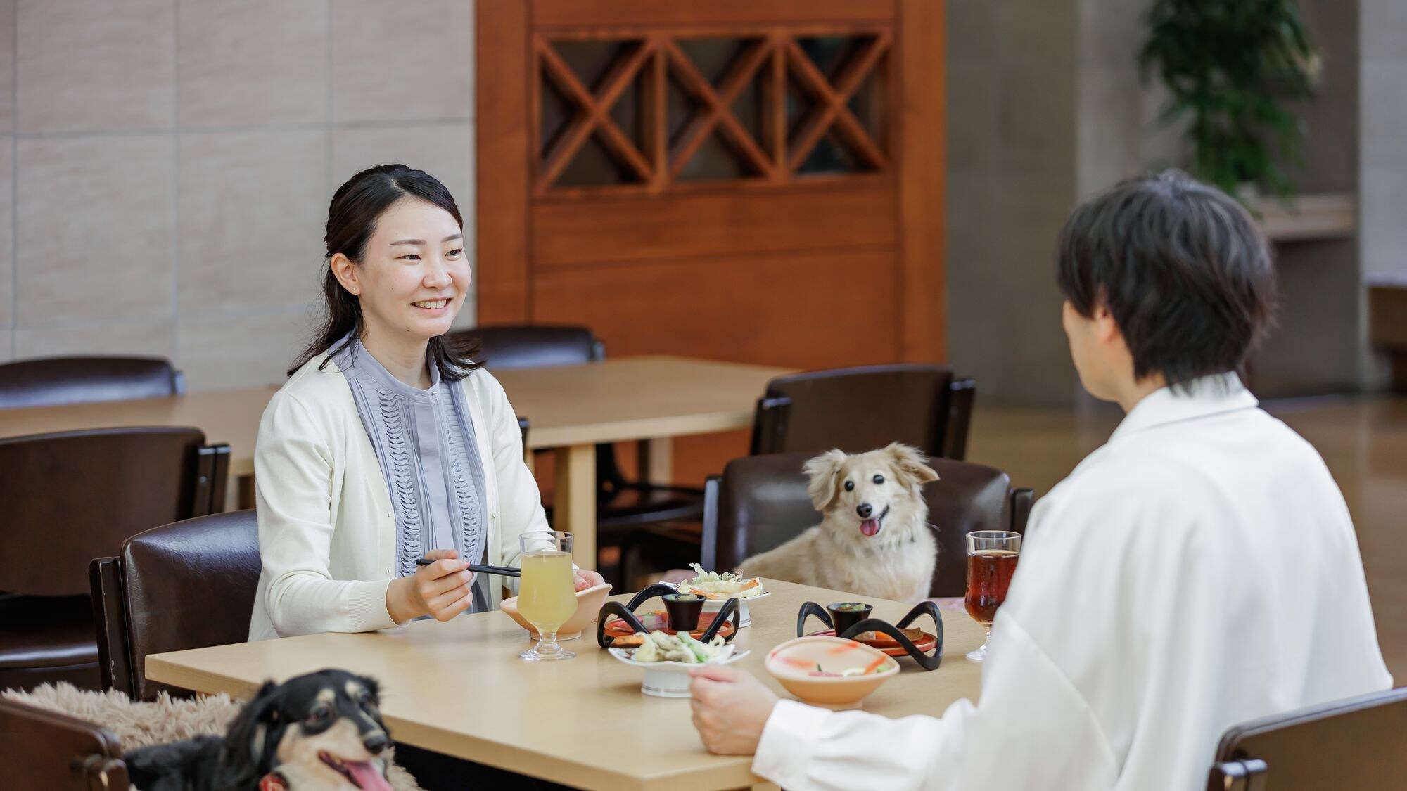 เพลิดเพลินไปกับมื้ออาหารกับสุนัขของคุณ