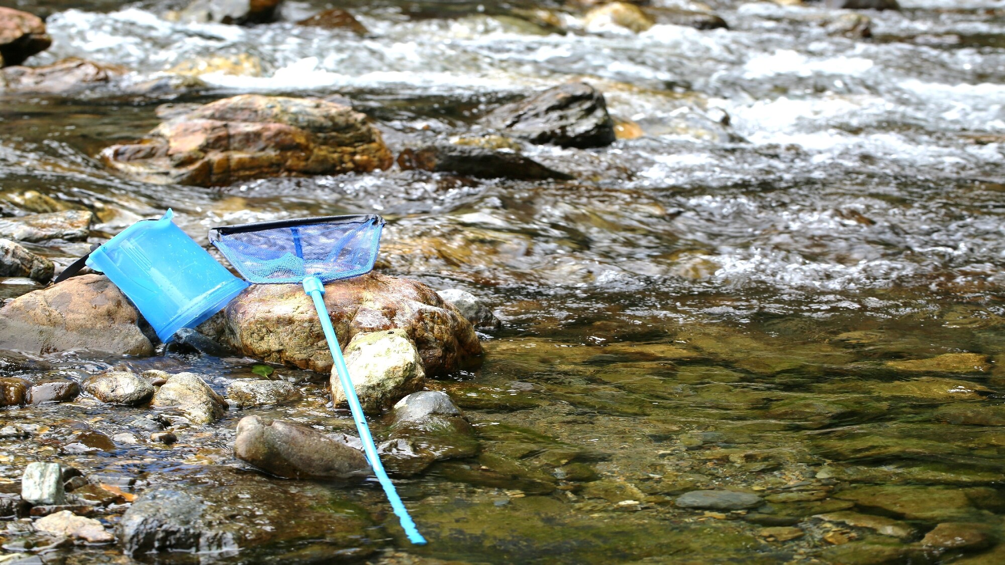 *我們將為您介紹一些適合夏季度假的絕佳河邊景點！