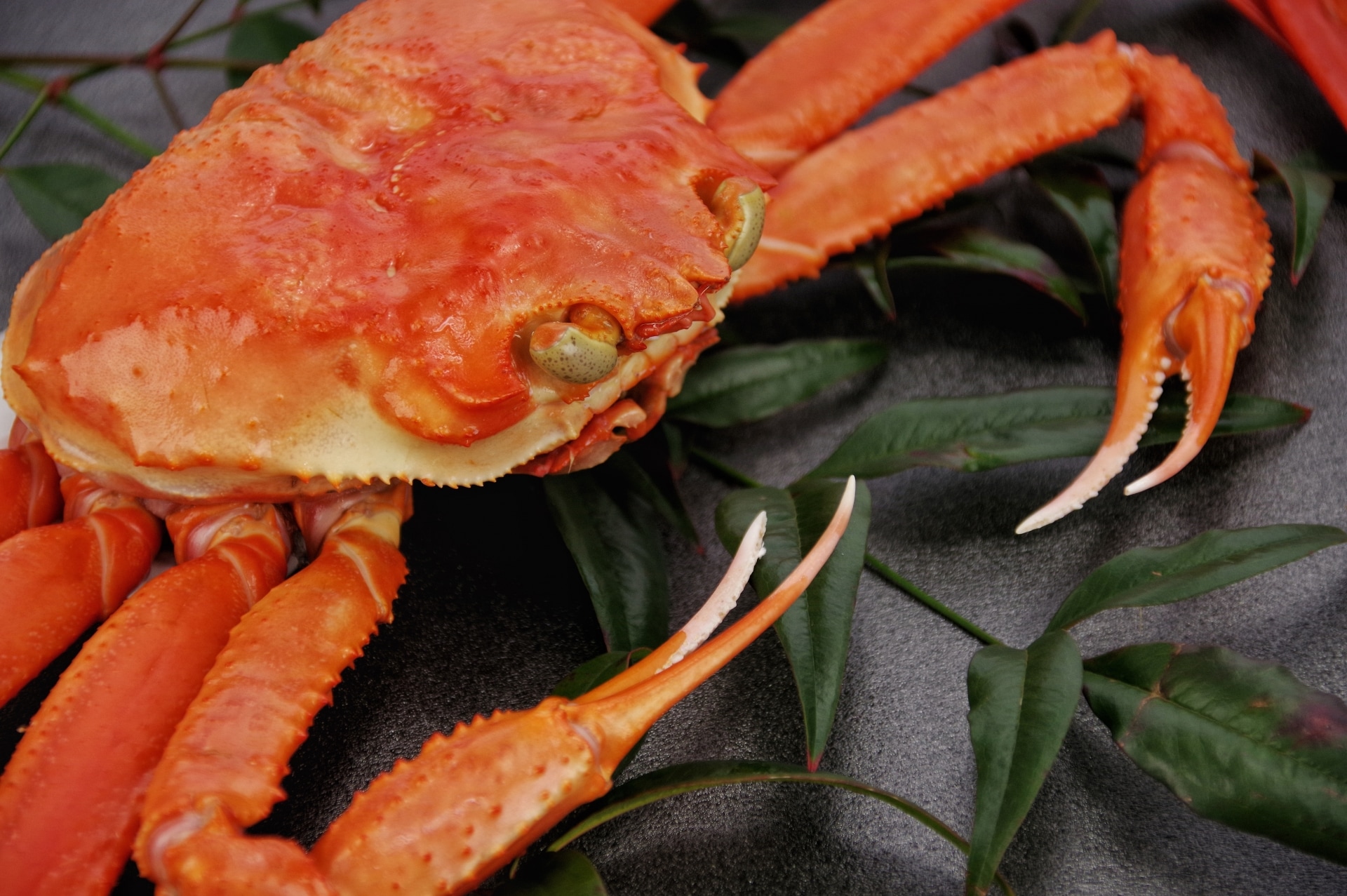Crab