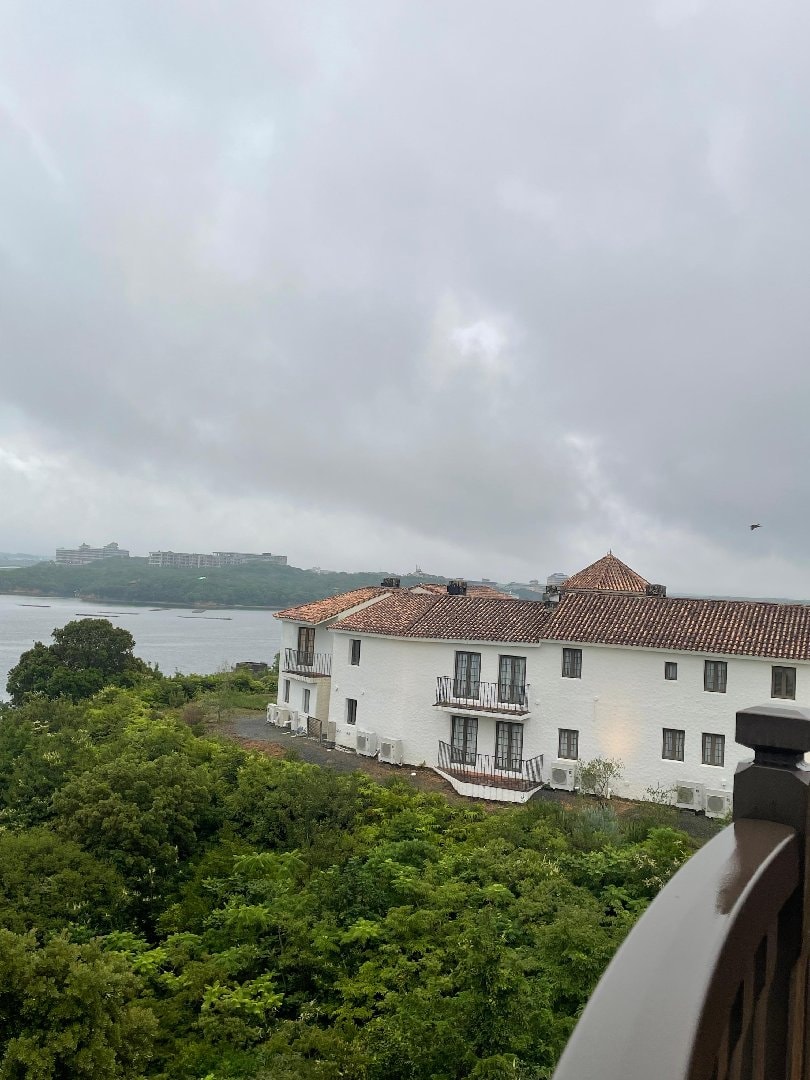 IMG_2065.jpeg