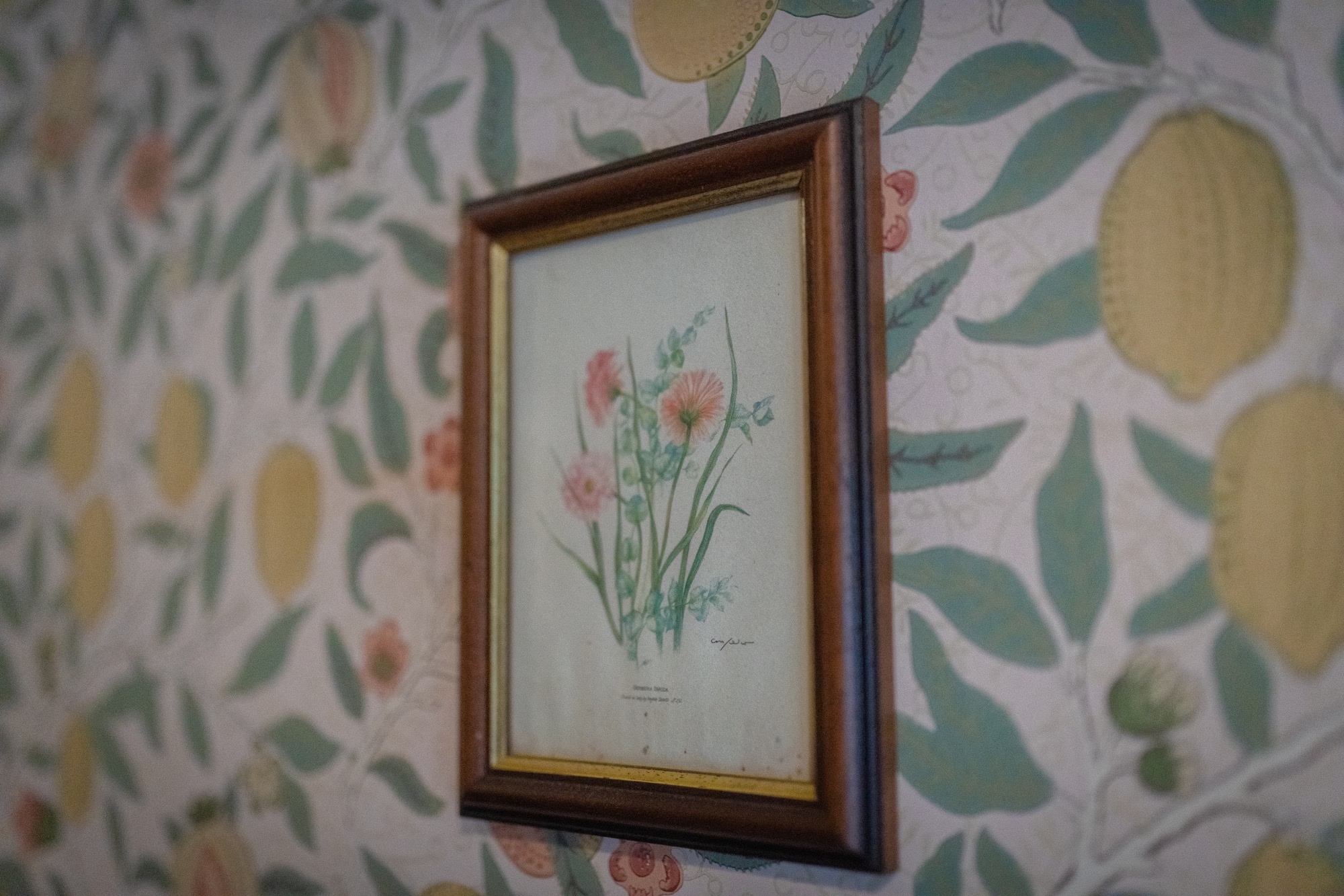 ◆ Classical Music Hall ◆ Room 201