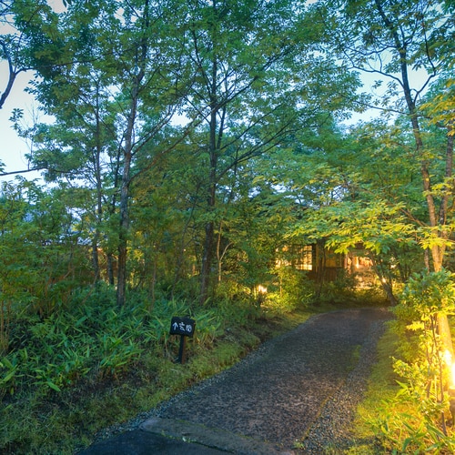 Approach to the entrance 01