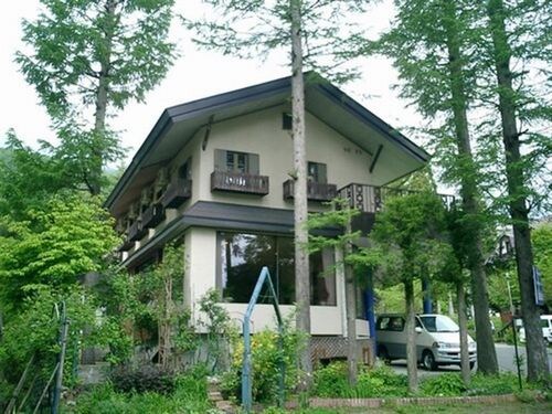 Appearance image