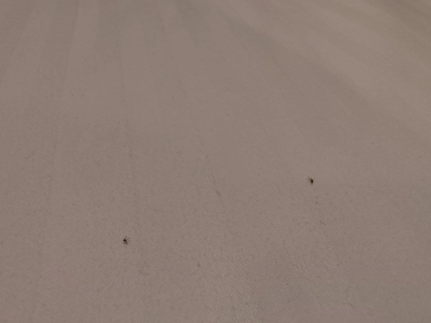 1000007435.jpg