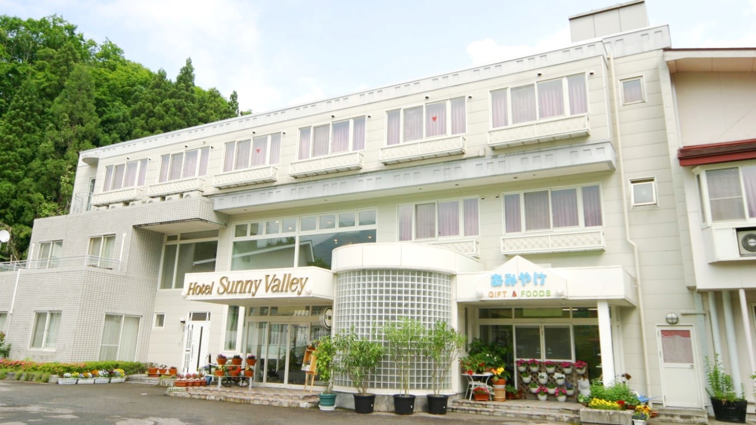 Hình ảnh xuất hiện