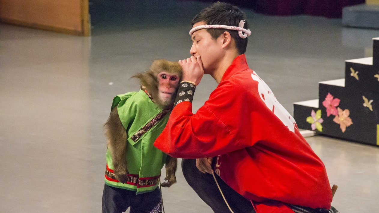 Monkey Show Theater
