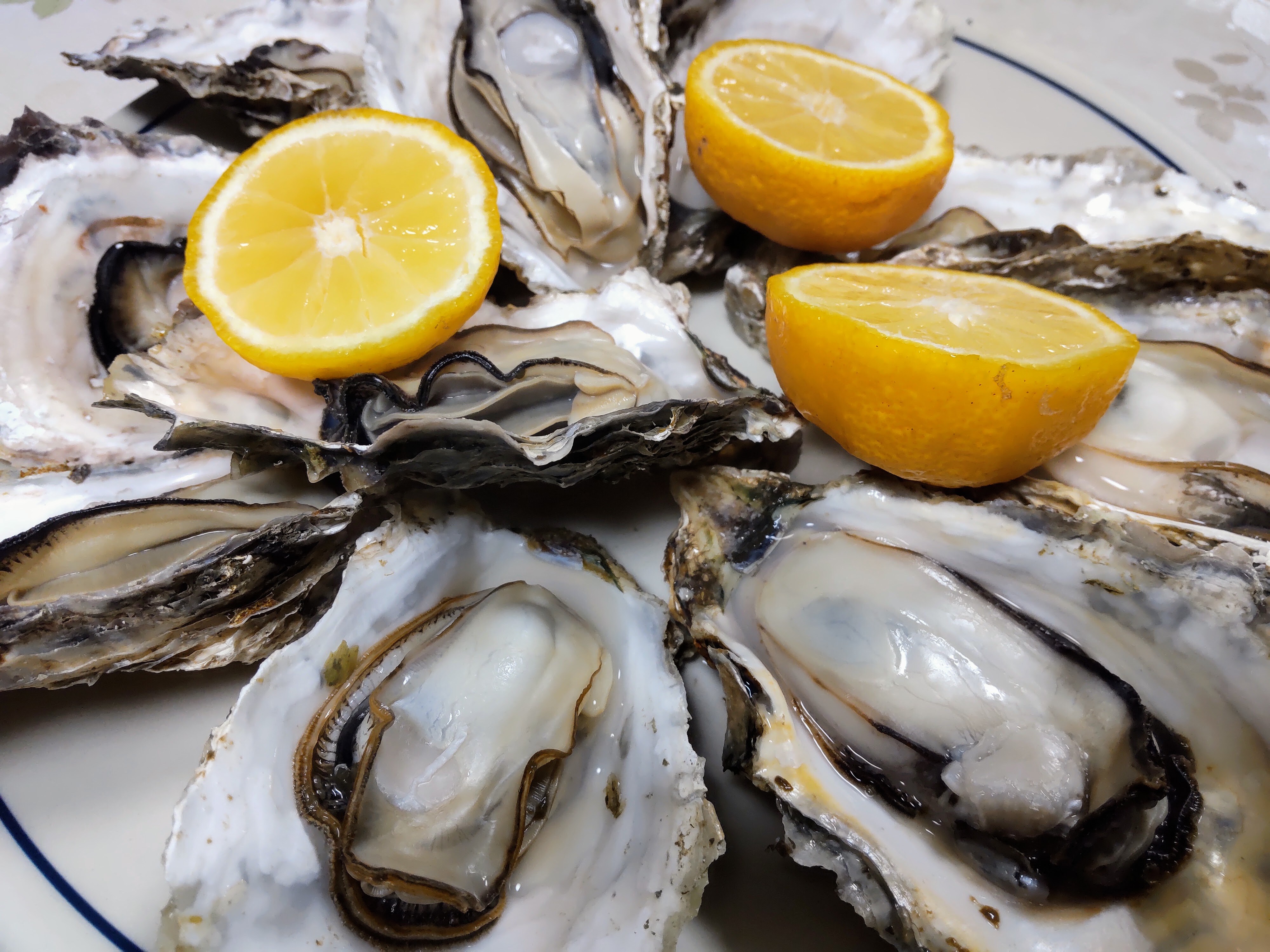 Grilled oysters