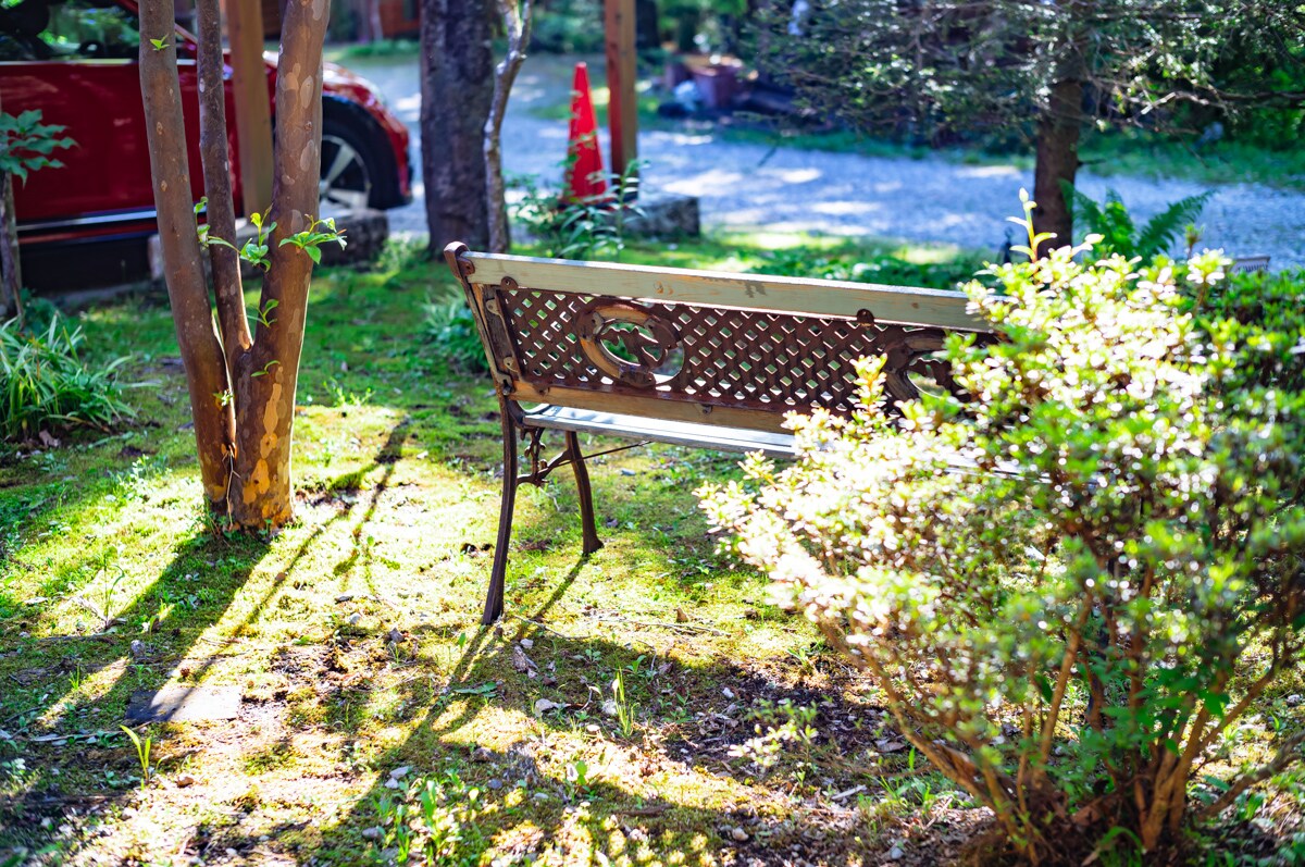 [Chausu Forest: Interacting with Nature]