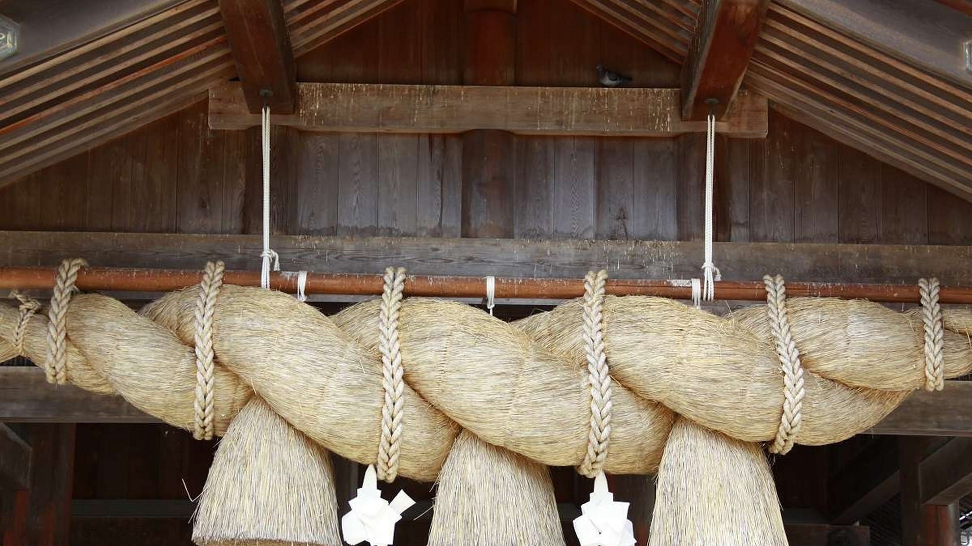 [Izumo Taisha] About 1 hour by car from Tamatsukuri. A shrine famous for the benefits of marriage that enshrines Okuninushi. The size of the main shrine is Japan