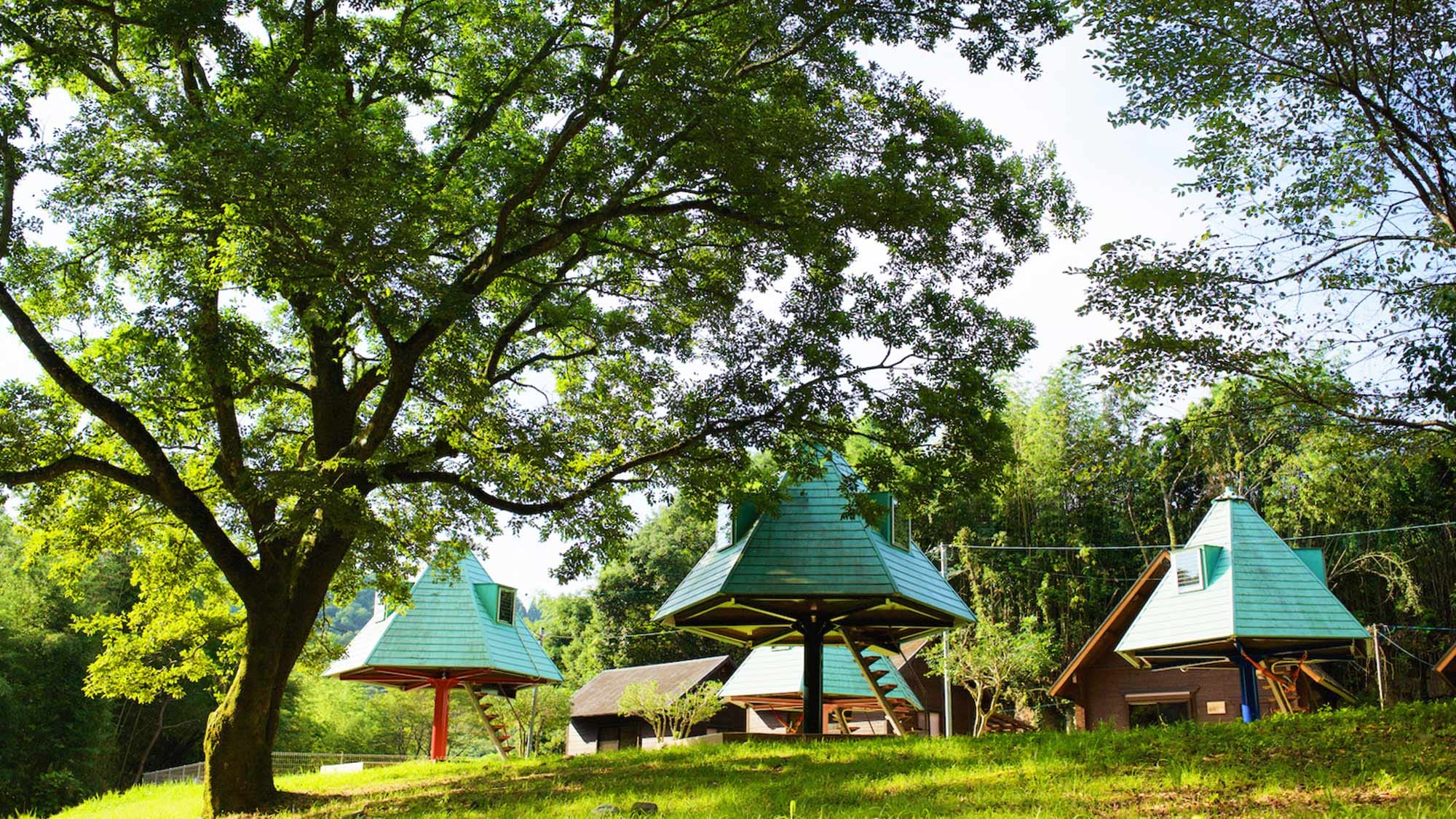 ・[Exterior: Tree-shaped house]