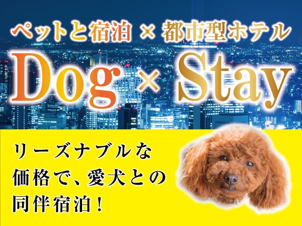 Dog stay plan