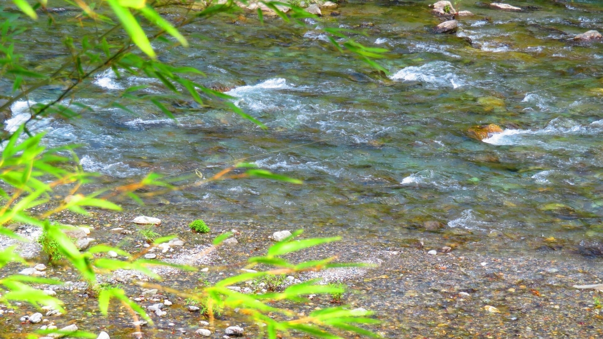 “日本一の清流”穴吹川までは車で15分♪