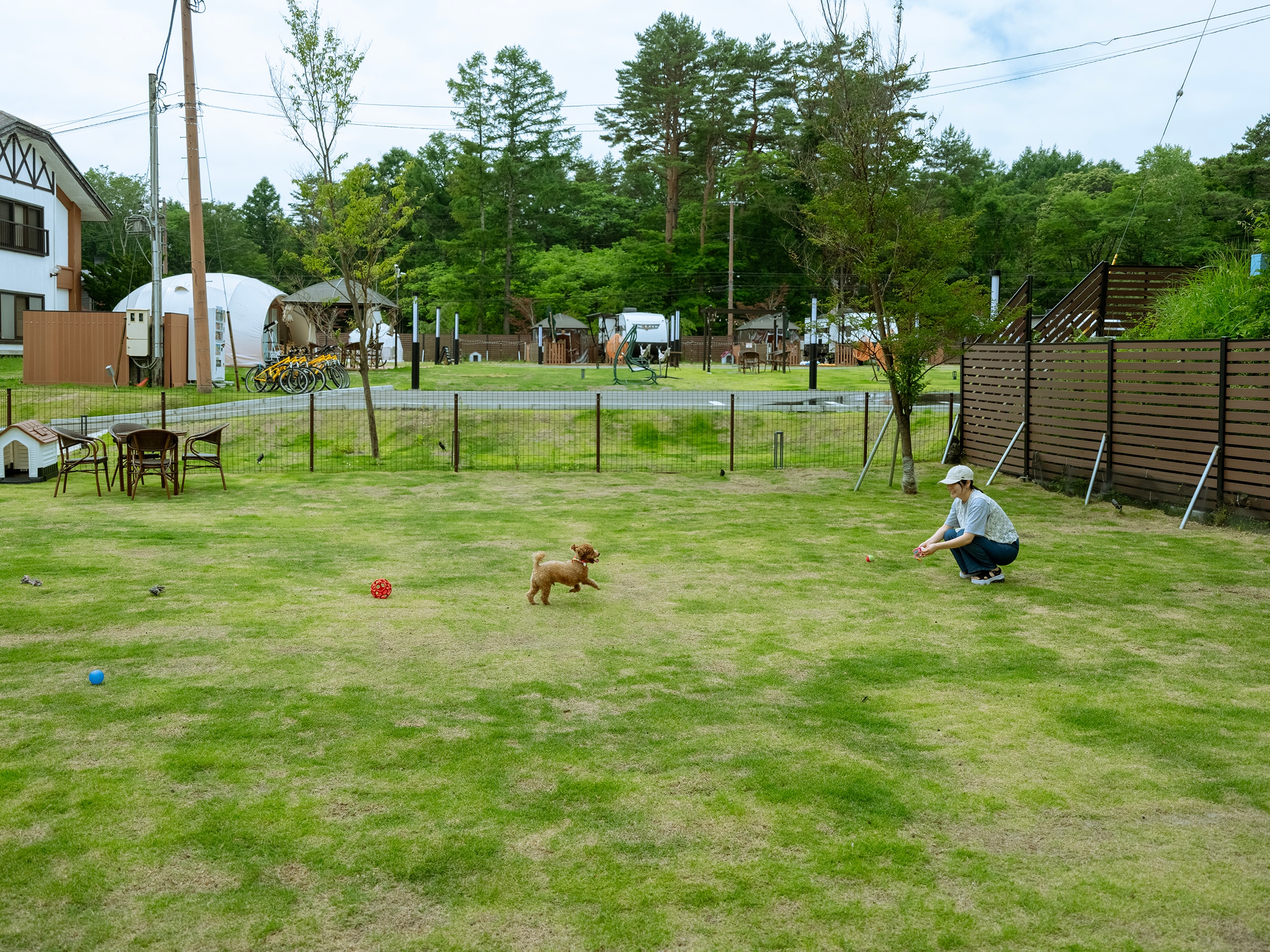 Dome tent with dog run