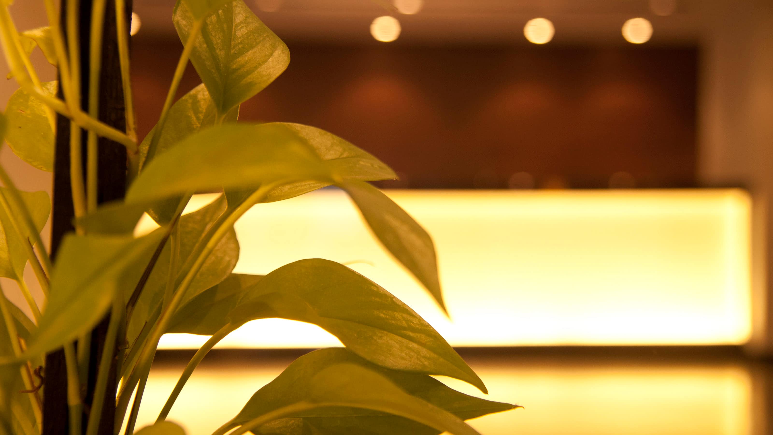Lobby 3