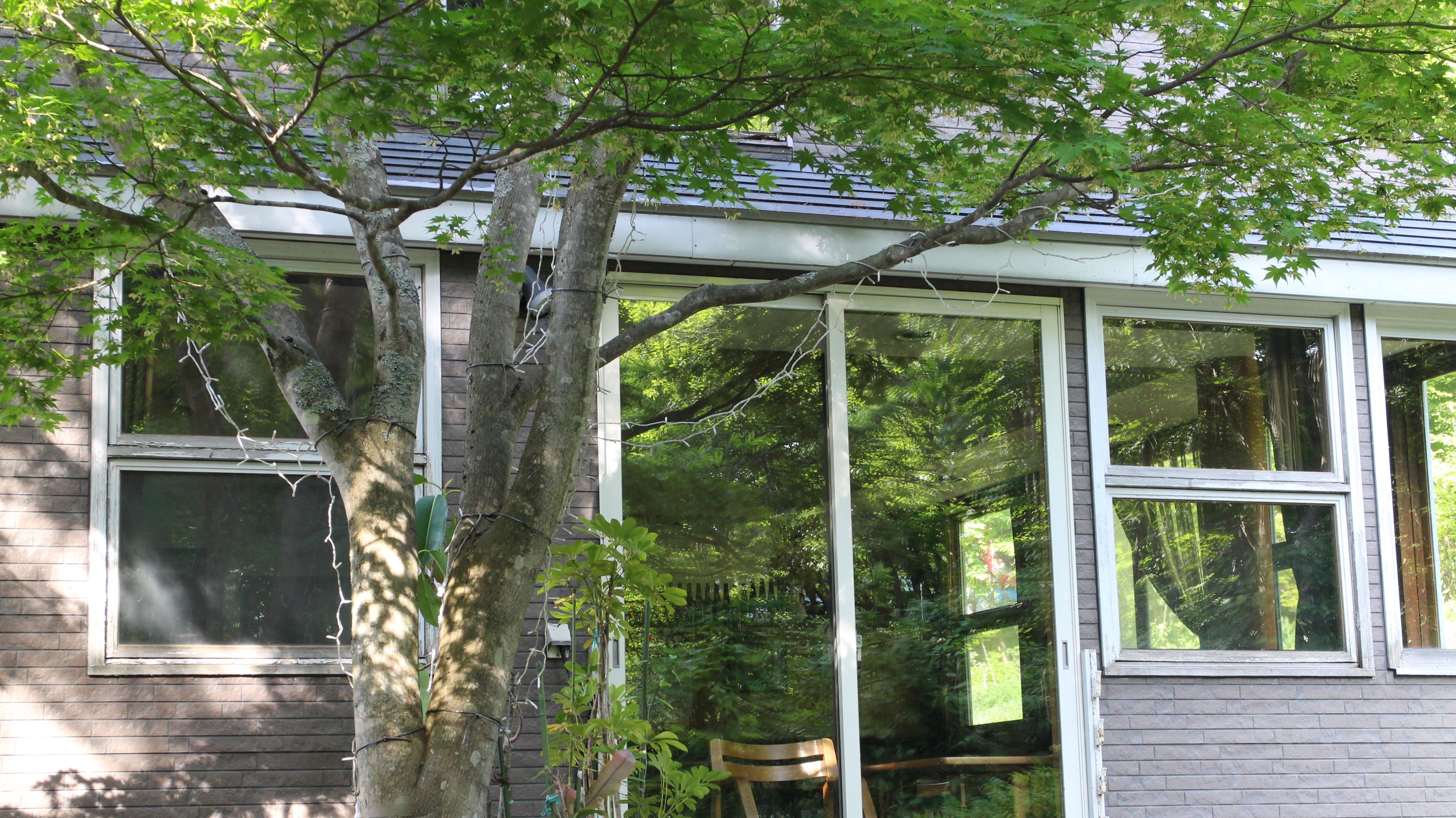 魔古外景（夏季）