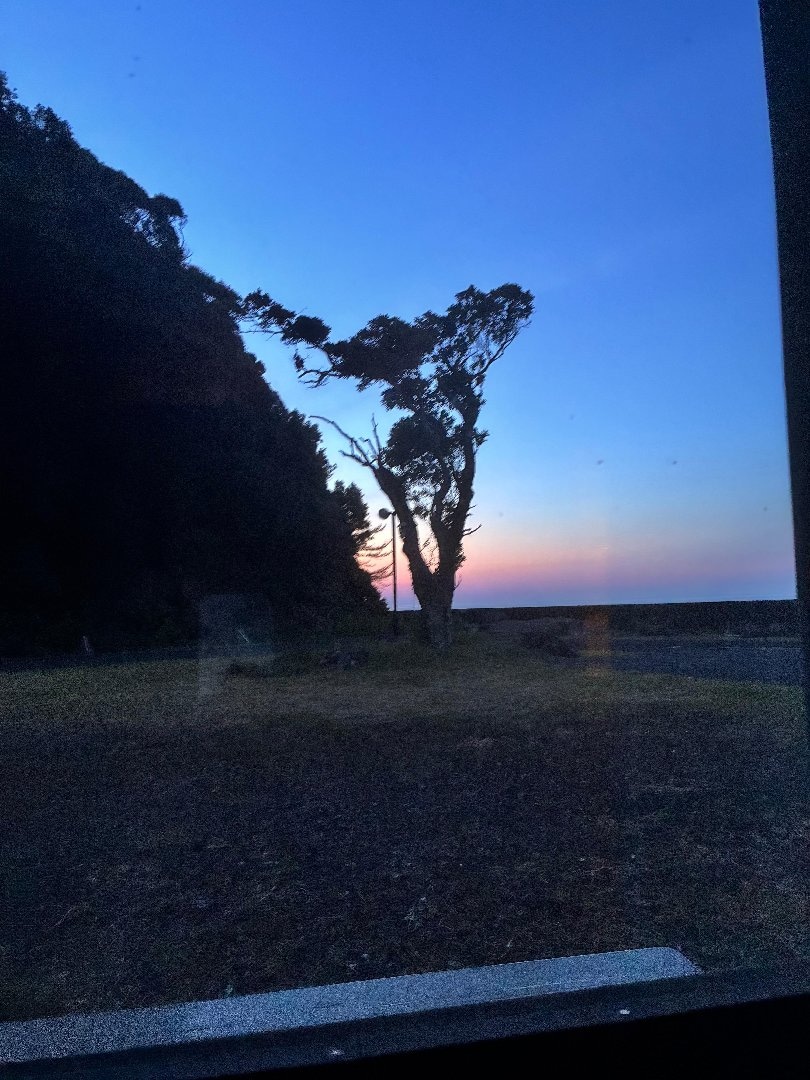 69CA0495-BD49-4EA1-AE07-39FA568791D6.jpeg
