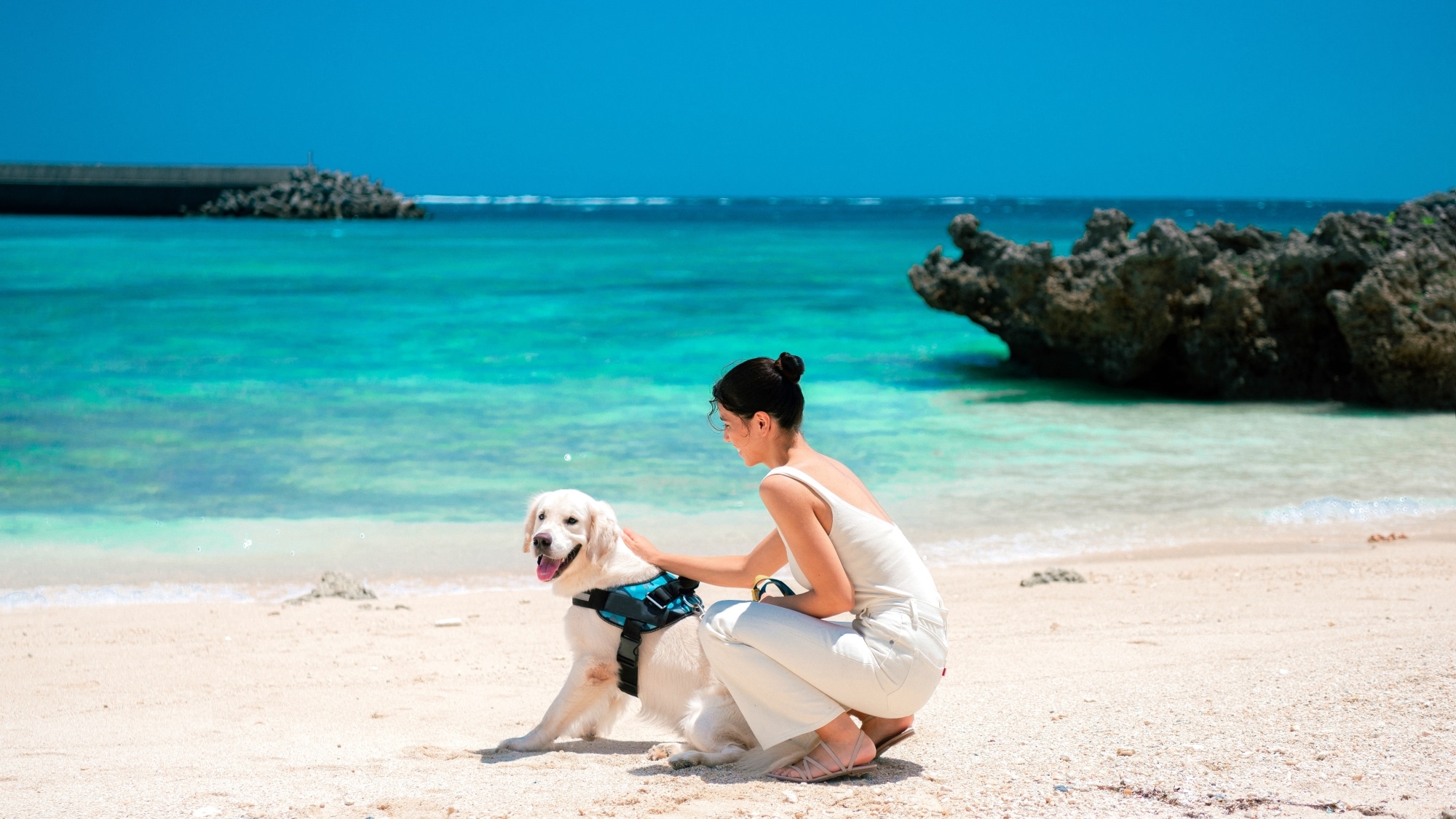 [Spending time with your dog] If you want to enjoy the ocean of Miyakojima with your dog, head to Shigira Beach located within the resort.
