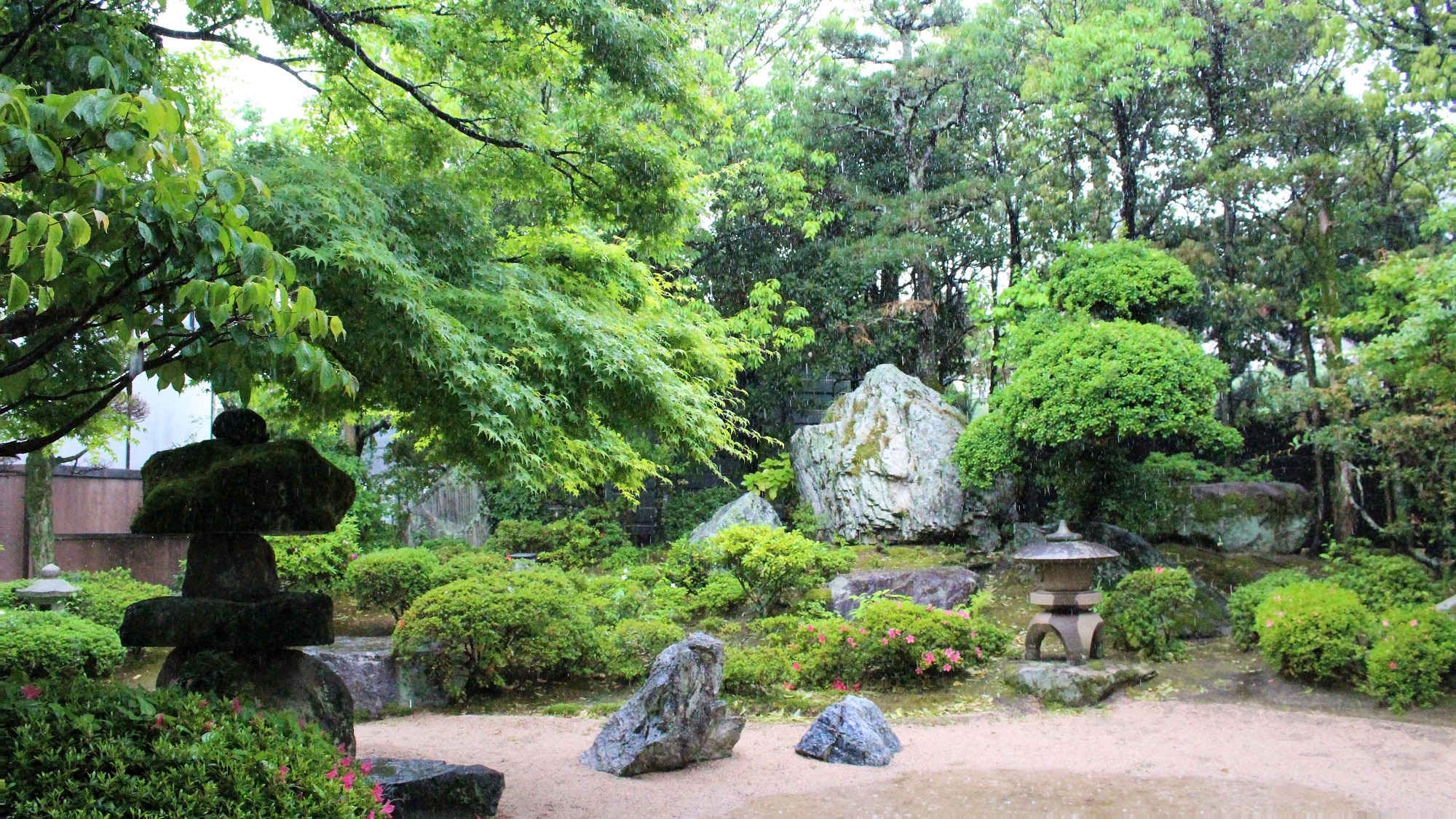 garden