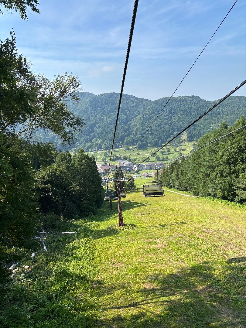 IMG_4177.jpeg
