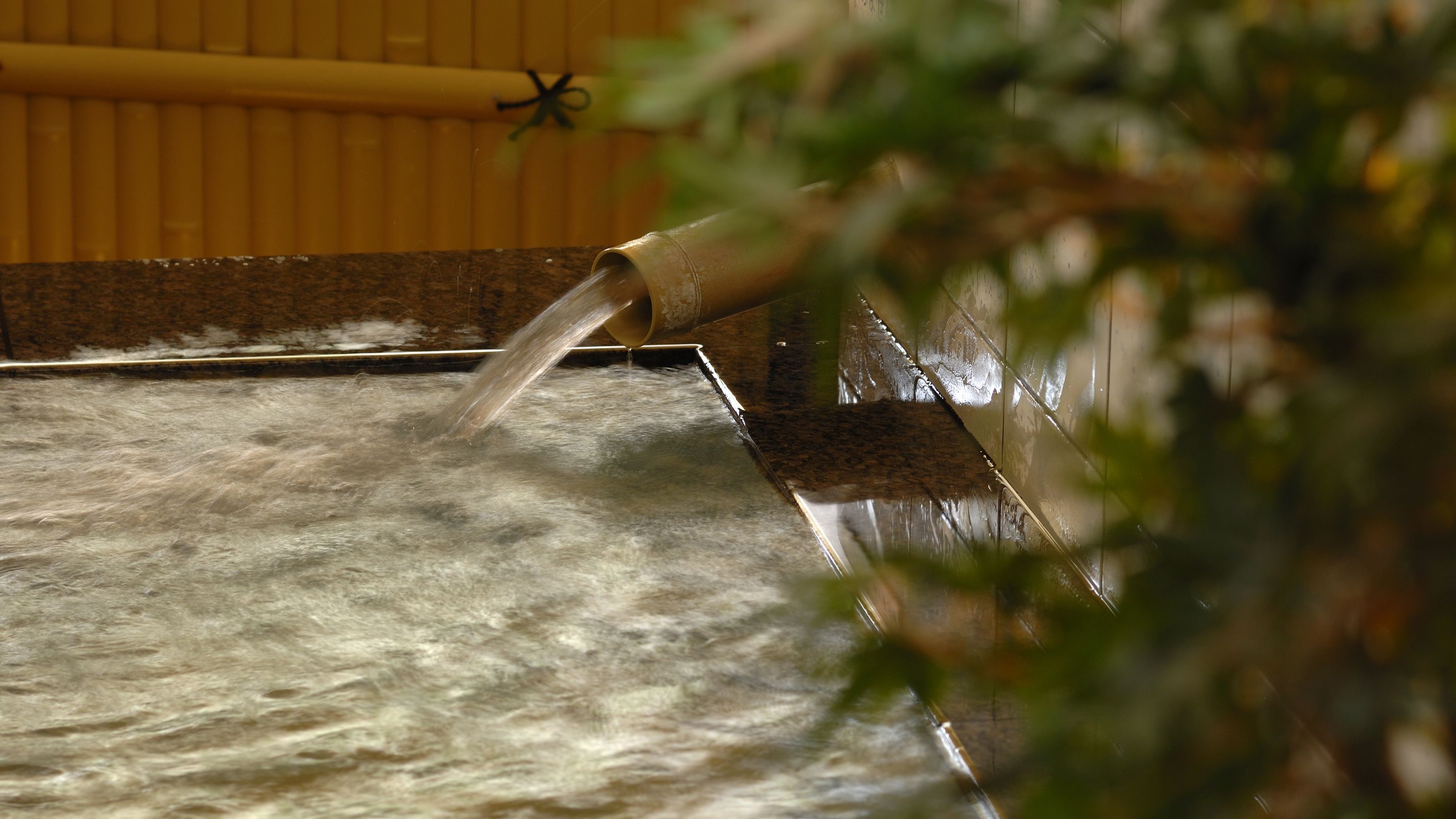 ◆ Dogo Onsen A large communal bath that boasts hot water. It is a spacious structure.