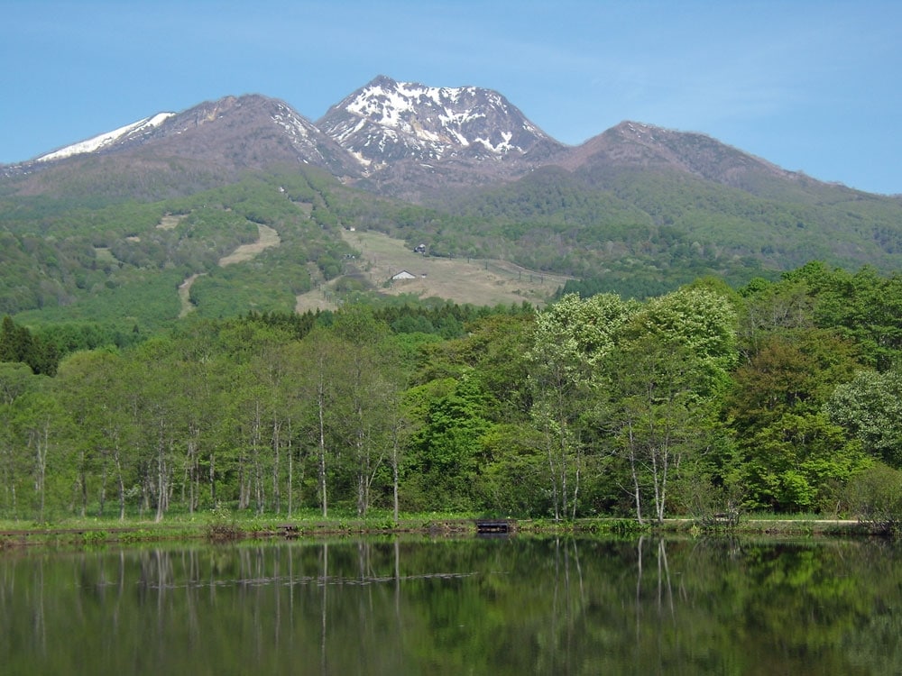 Imori Pond in early summer