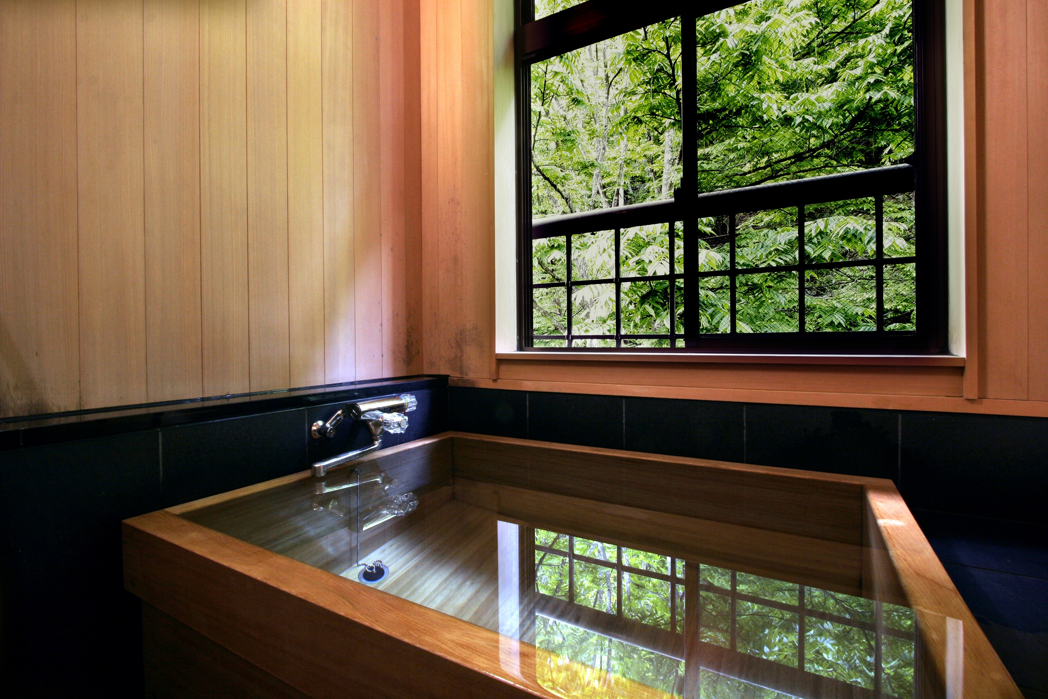 Hotel information and reservations for Matsunoyama Onsen