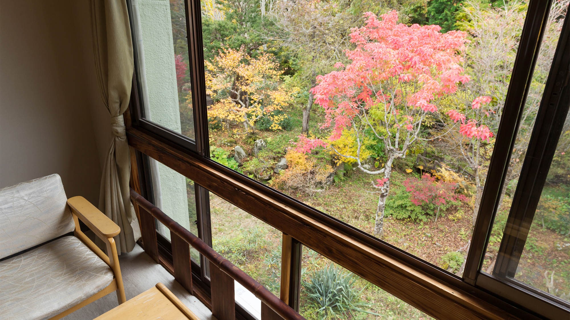 ・ [Example of guest room] The trees seen from the window create the colors of the four seasons.