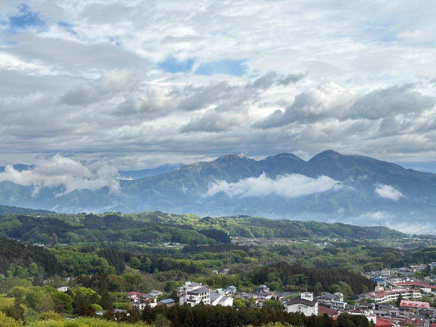 2580315C-7F49-4A72-B6A2-F91C6878F194.jpeg