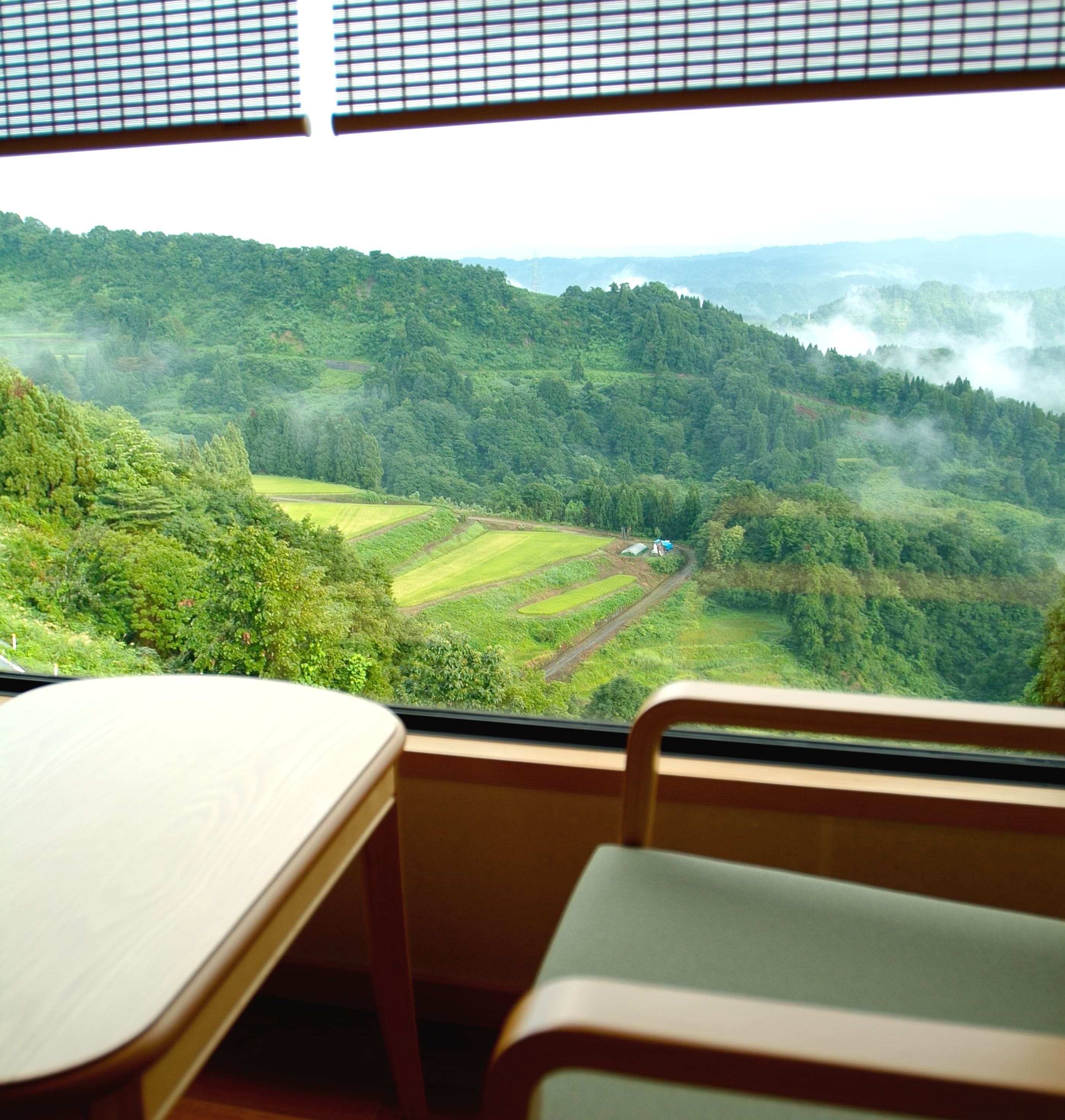 The view from the terraced fields