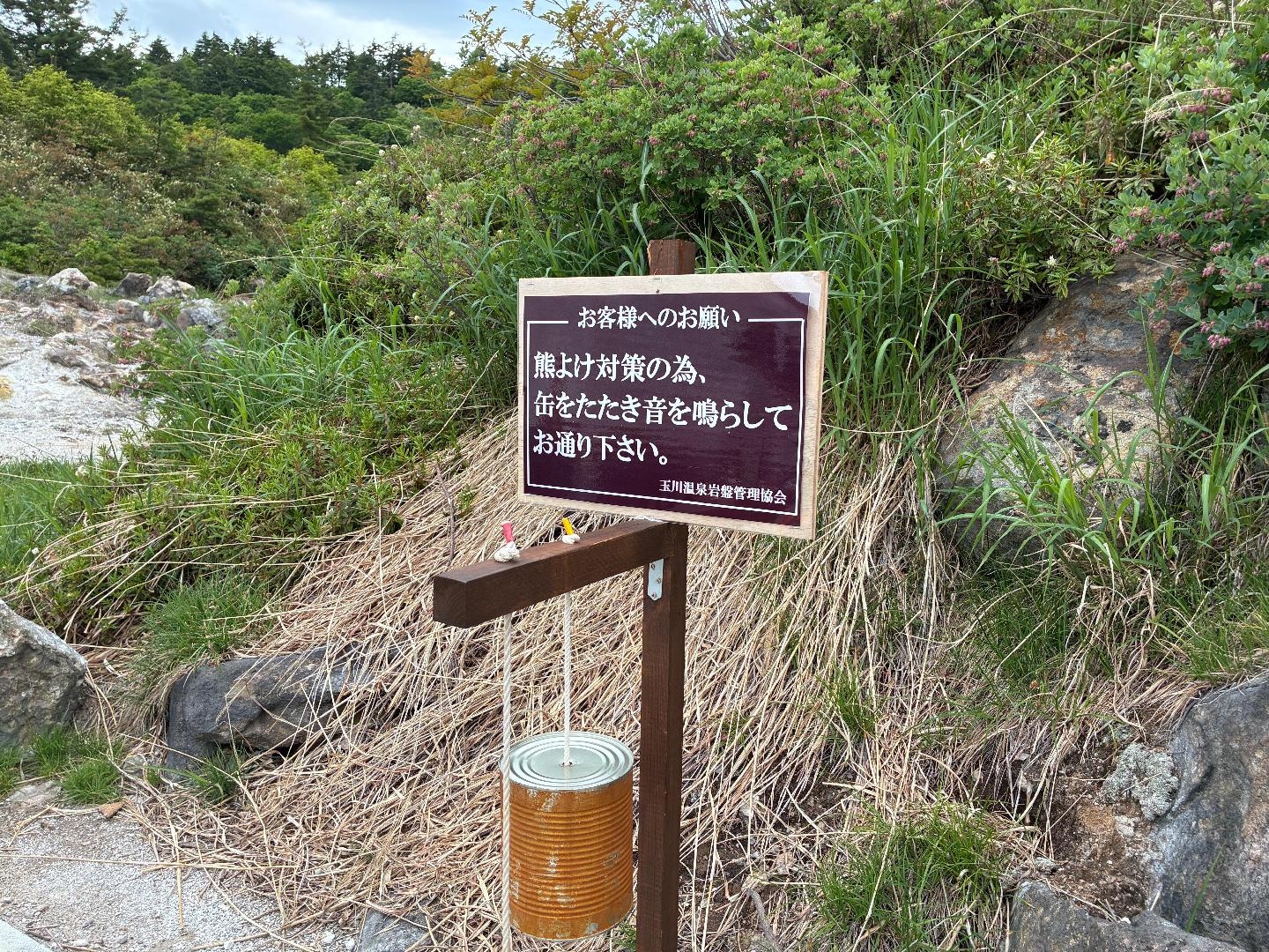 EA6166C8-3E70-4404-8E71-02D1EC471C52.jpeg