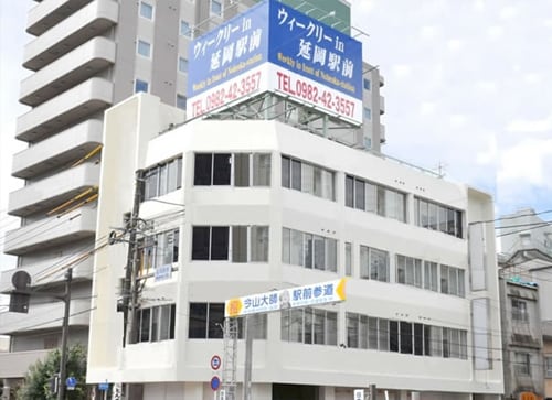 Appearance image