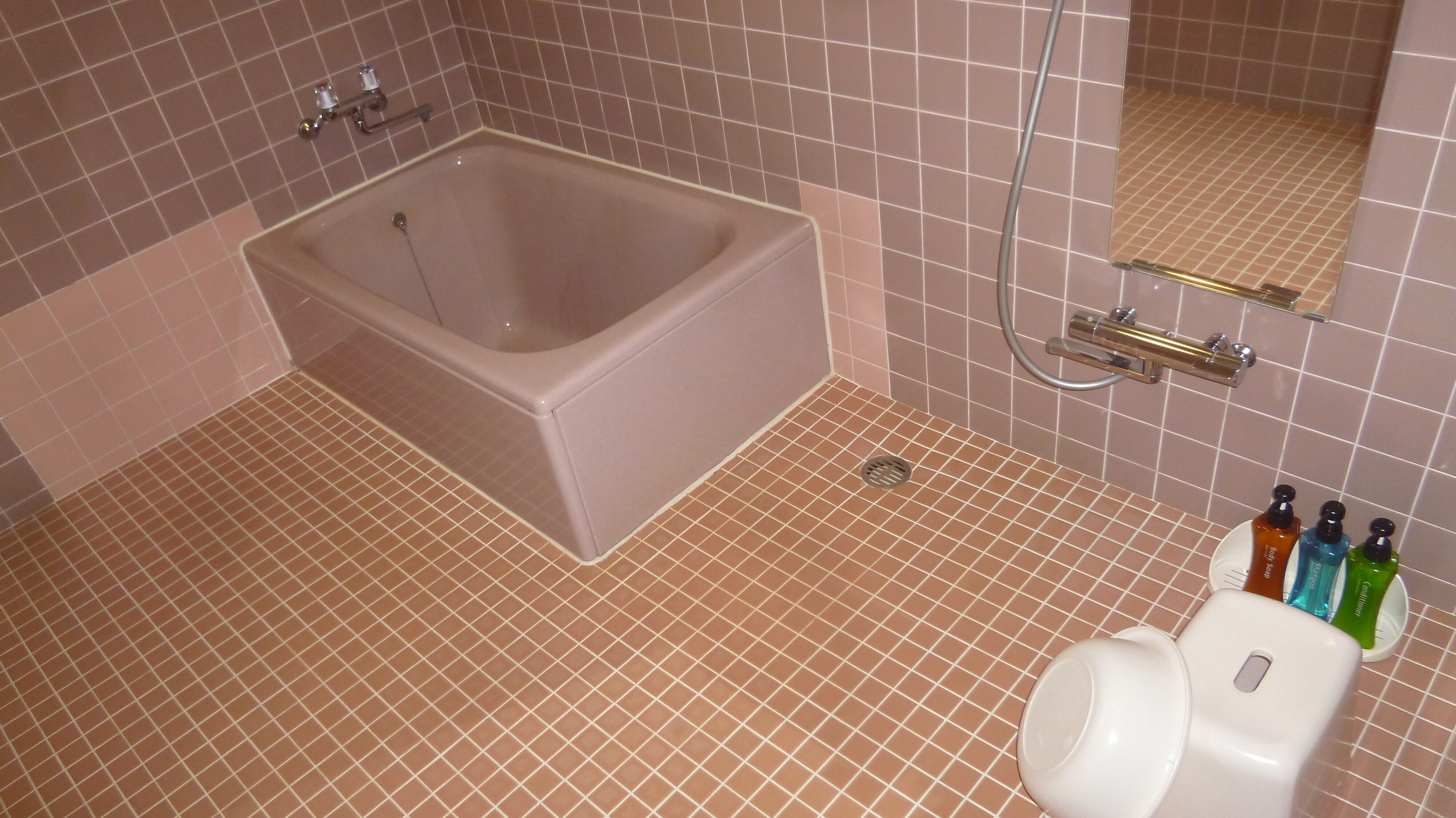 Kamar kembar dengan kamar mandi