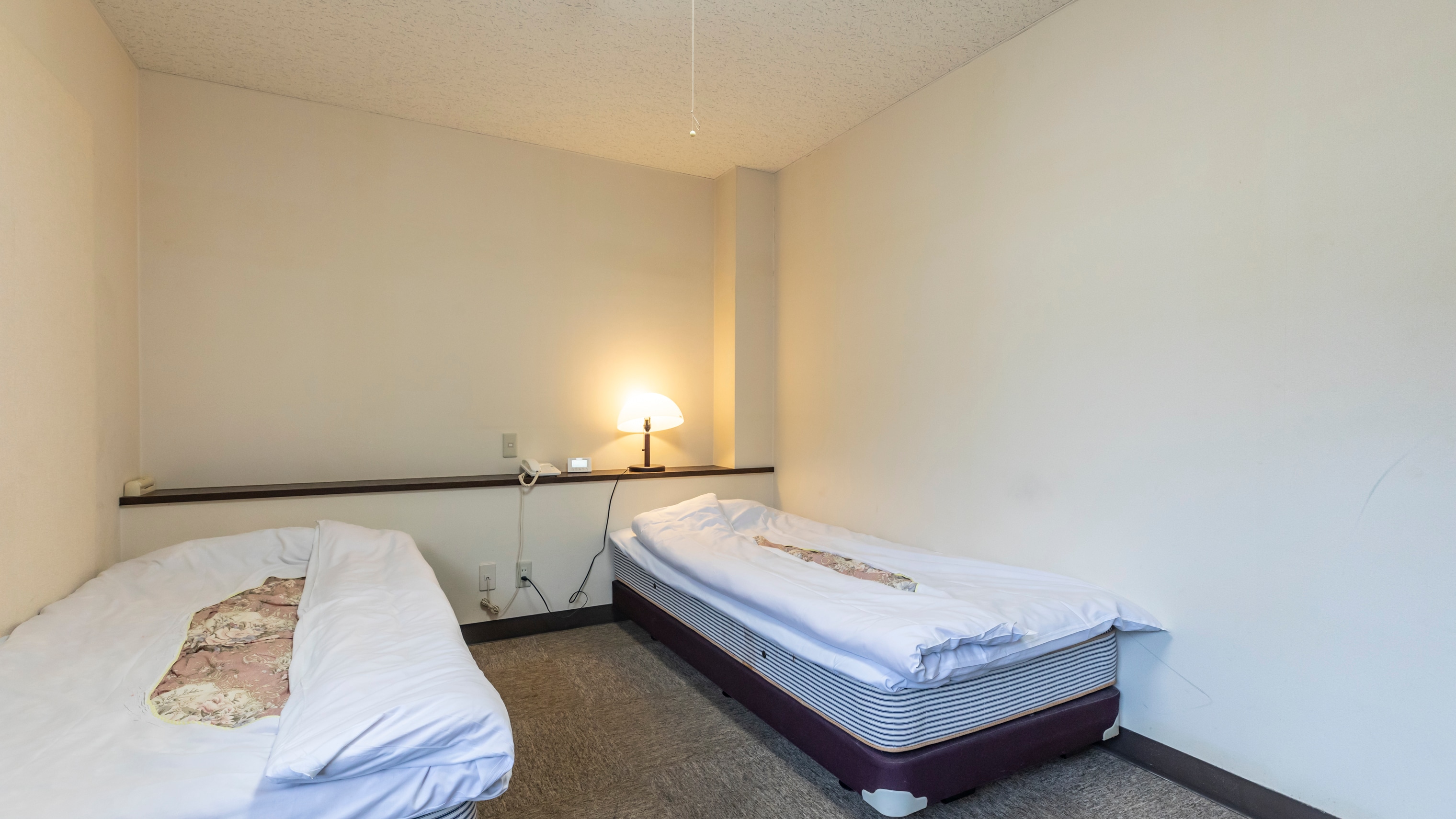 [Non-smoking] Twin room