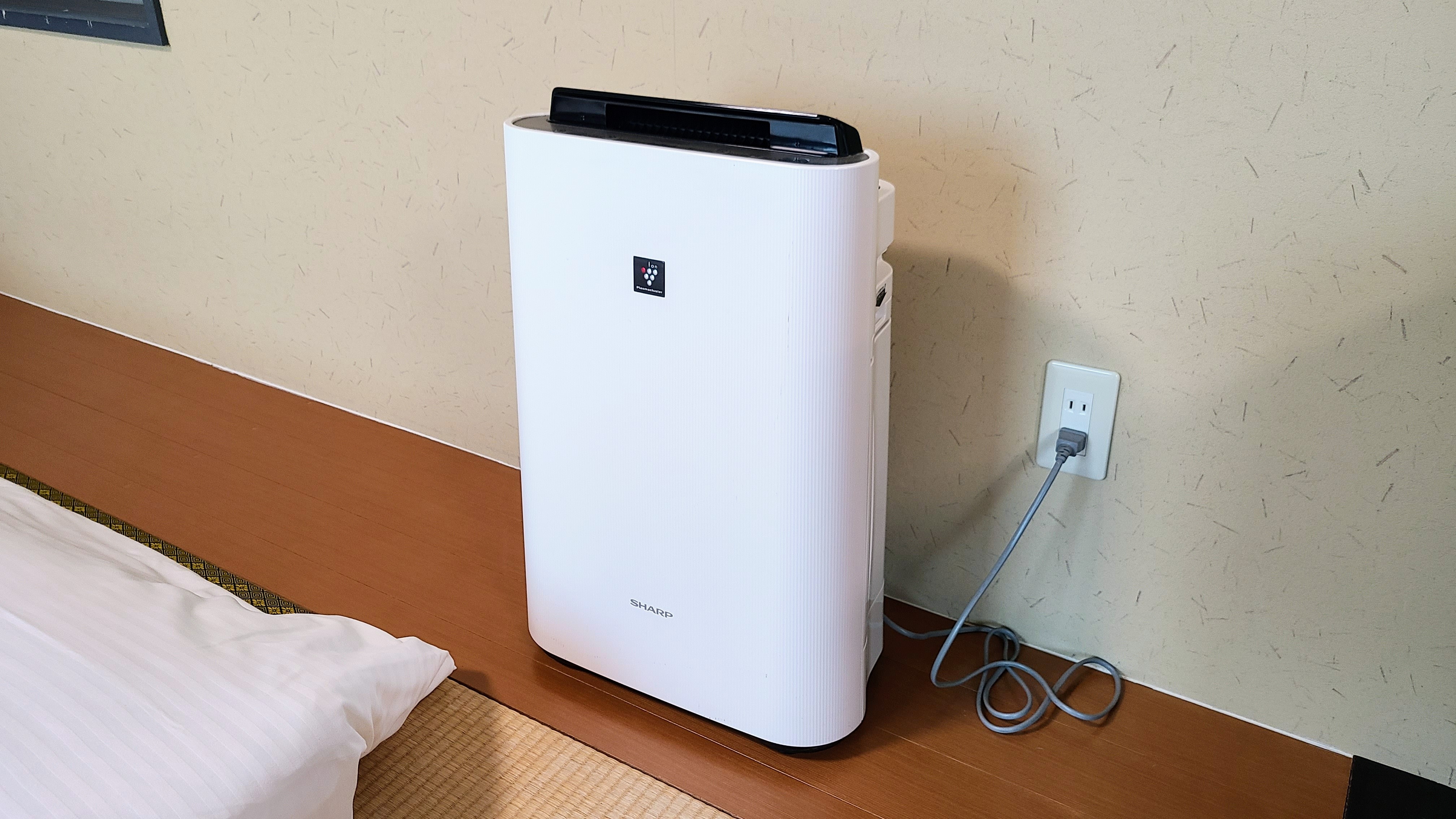 Family room air purifier