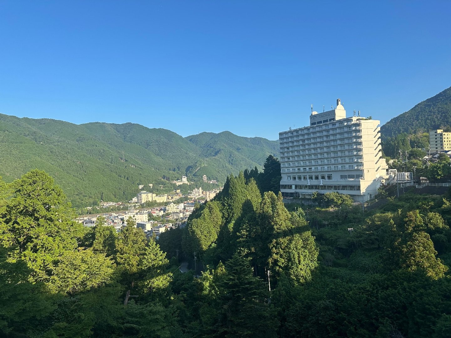 IMG_1362.jpeg