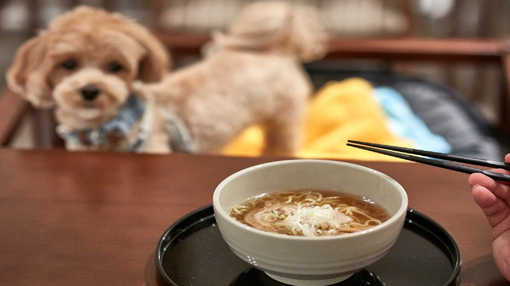 [Service] Late-night noodles